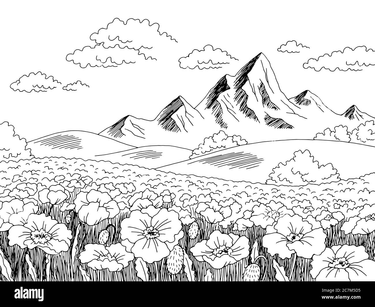 Motif champ de fleurs de pavot noir blanc paysage dessin illustration vecteur Illustration de Vecteur