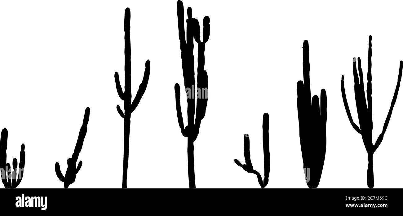 Ensemble de silhouettes de cactus péruviens (Cereus repandus) Illustration de Vecteur