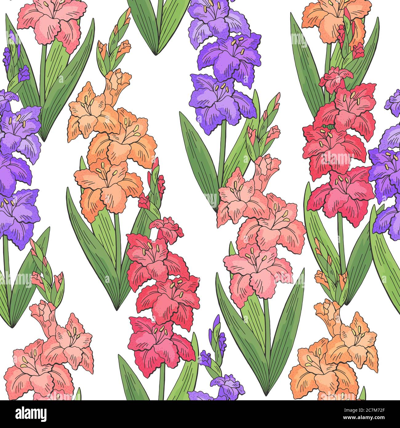 Gladiolus fleur graphique couleur sans couture motif d'arrière-plan esquisse illustration vecteur Illustration de Vecteur