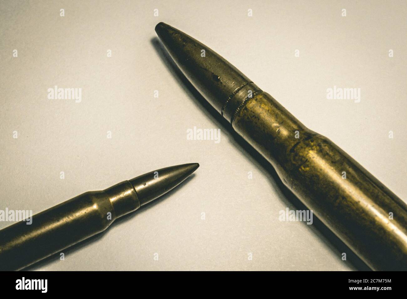 Gros plan des puces sur la surface blanche sous le léger Banque D'Images