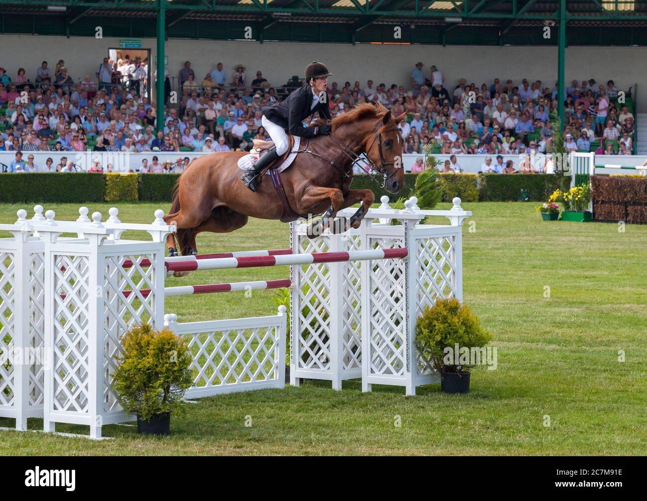 Un concurrent élimine un obstacle lors de la compétition de saut d'obstacles au Great Yorkshire Show Banque D'Images