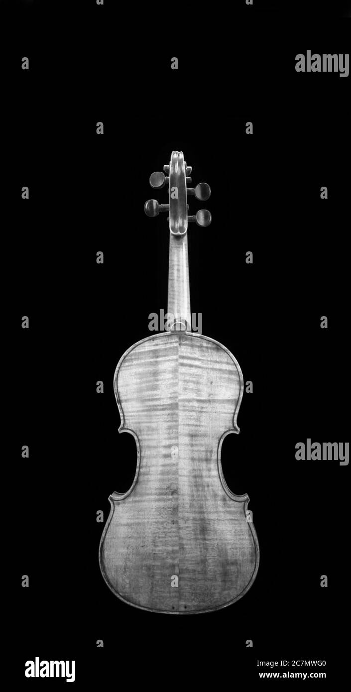 Arrière de l'ancien violon en noir et blanc avec de la place pour votre type. Banque D'Images