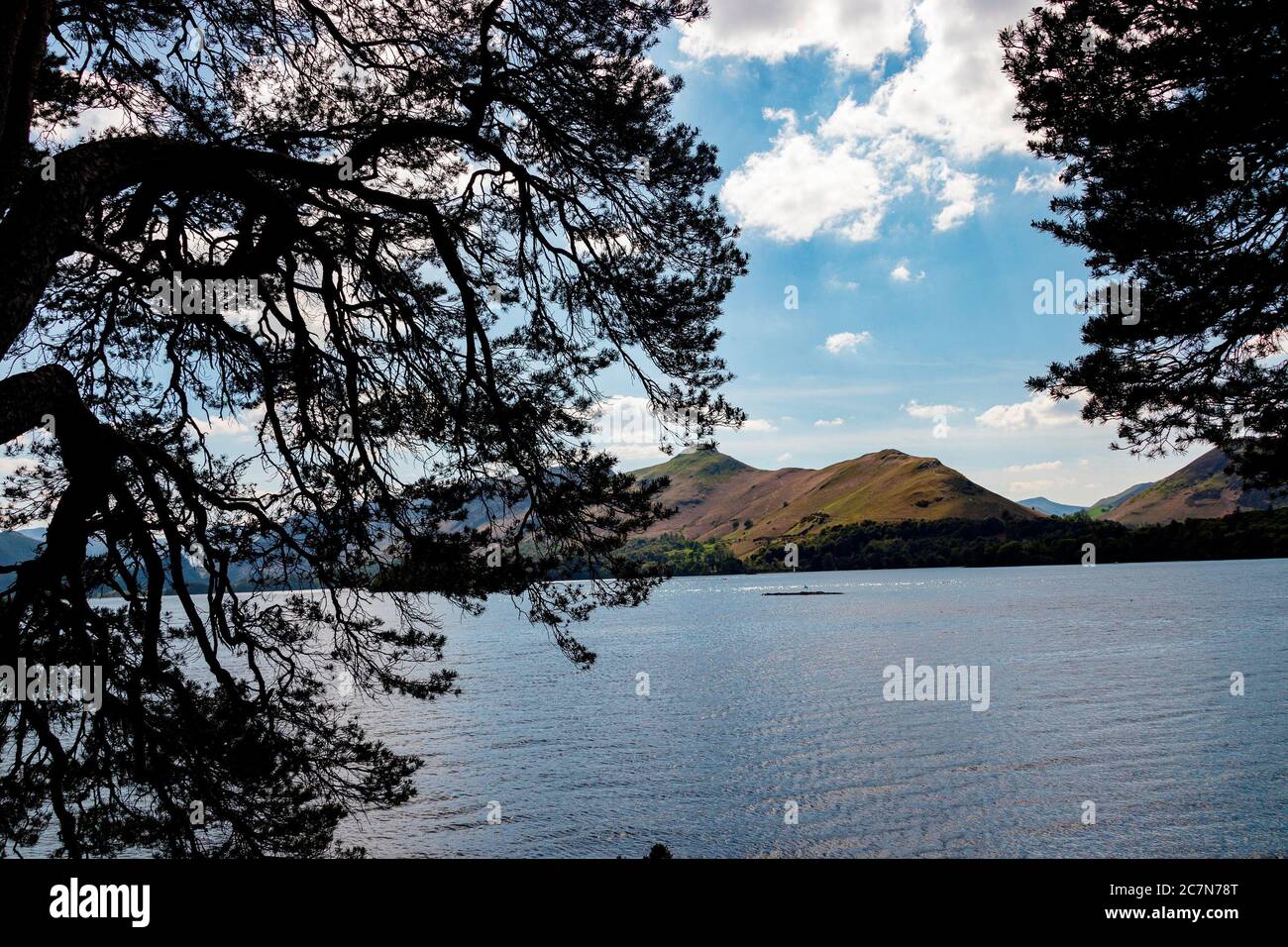 L'eau de Derwent avec des cloches de chat dans le quartier du lac encadré par des arbres. Banque D'Images