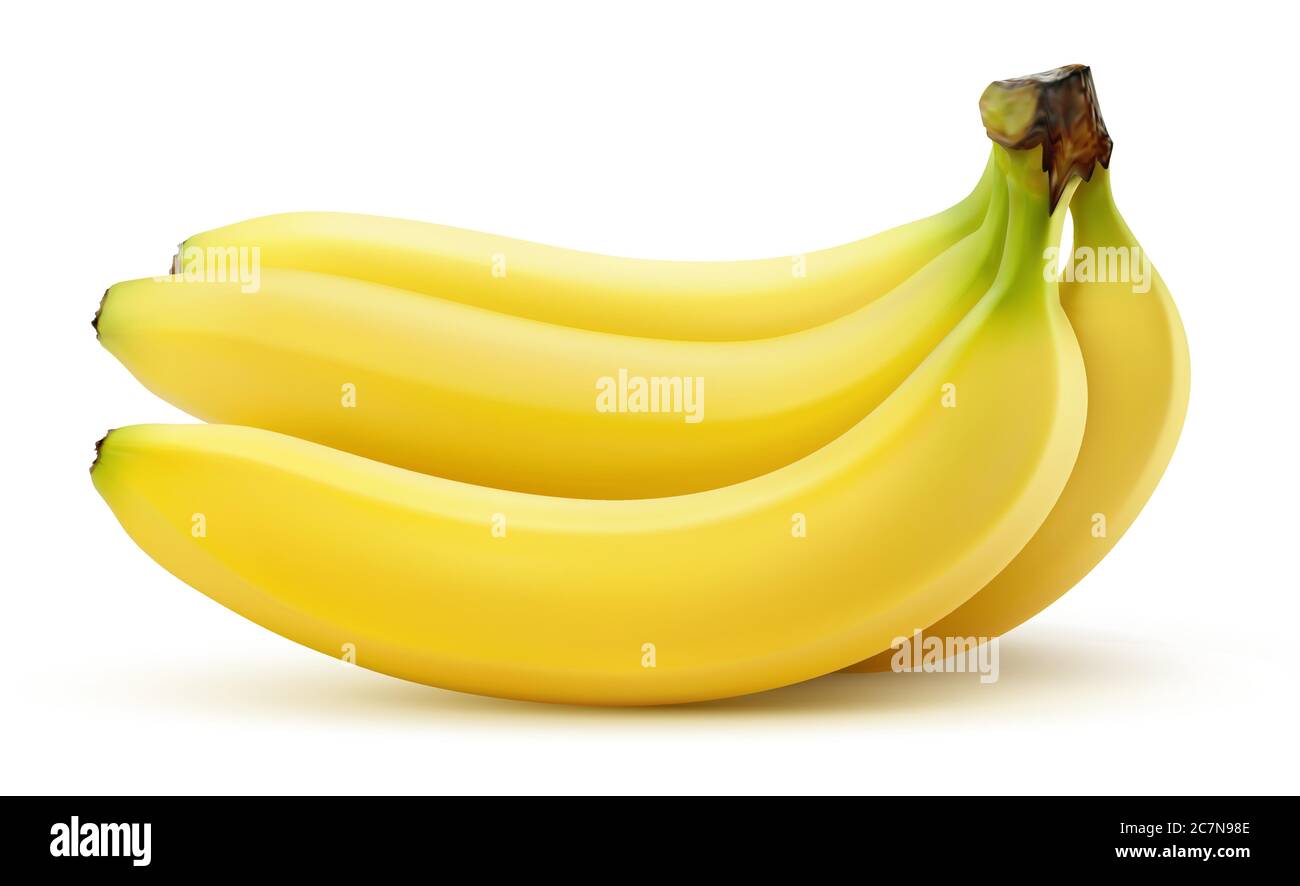 Bouquet de bananes vectorielles sur fond blanc Illustration de Vecteur