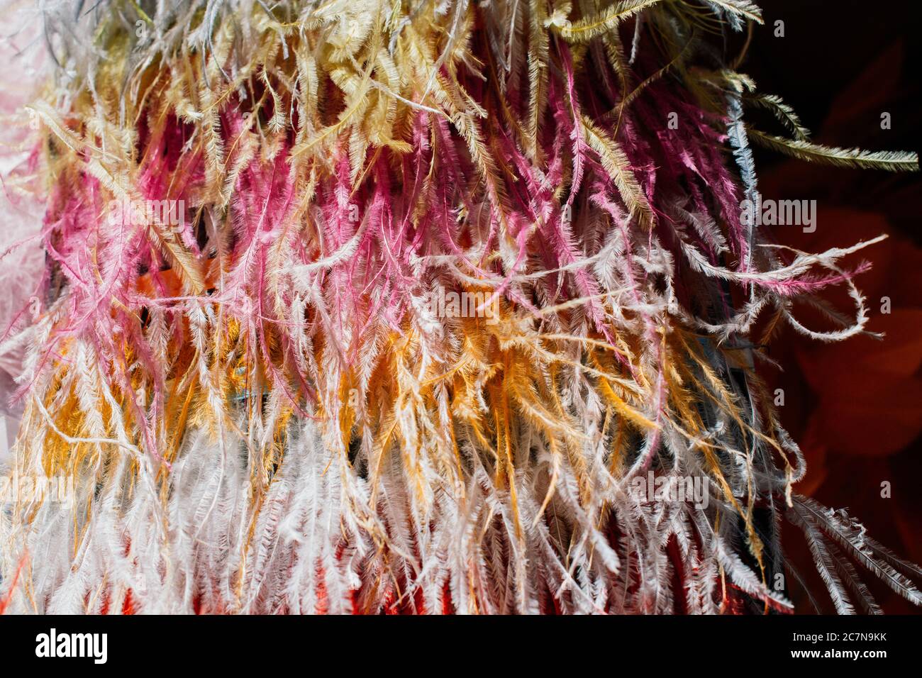 Belles plumes des oiseaux à des fins décoratives Banque D'Images