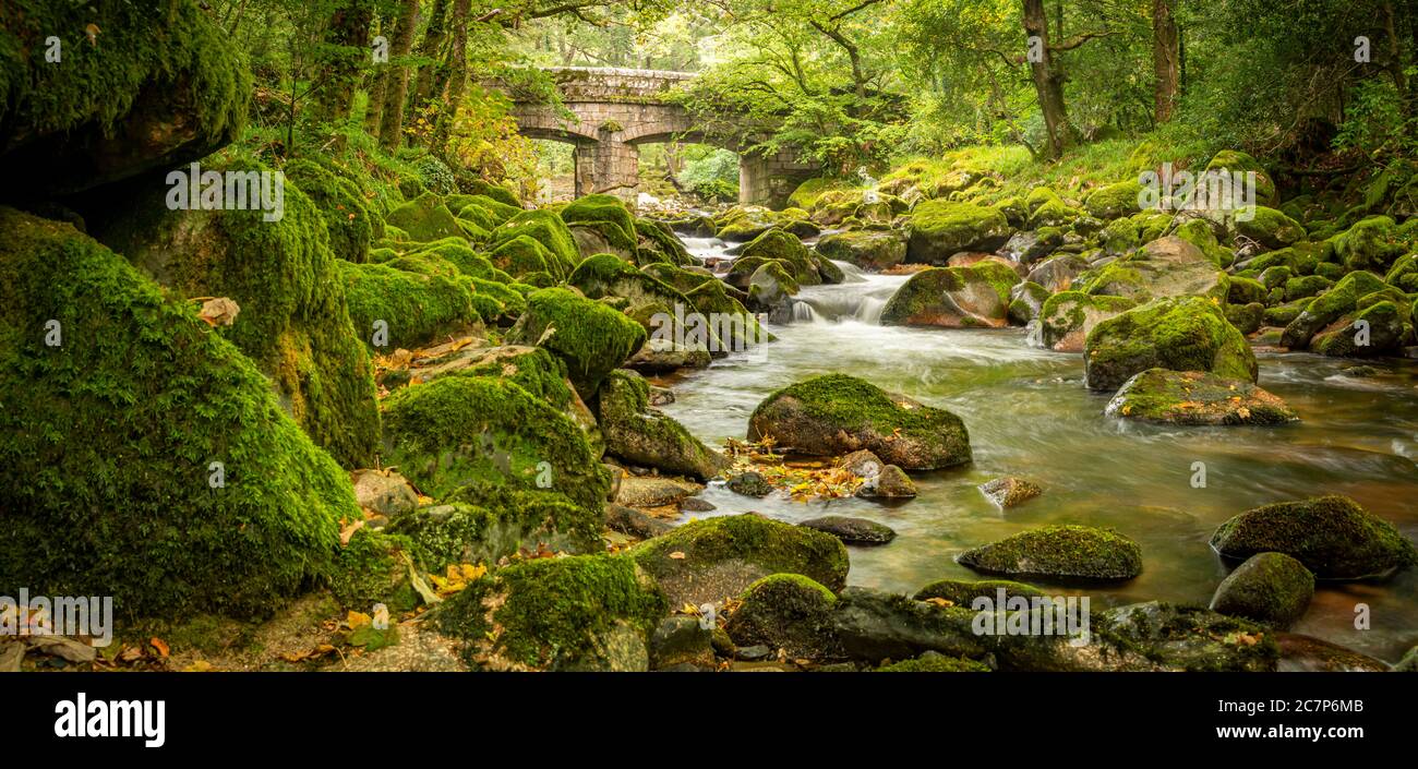 Vue tranquille sur la rivière Plym à Dartmoor Banque D'Images