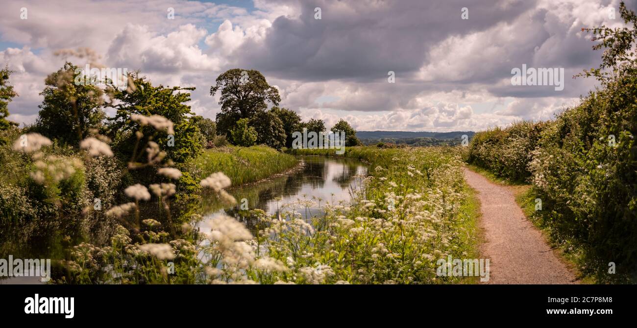 Vue panoramique le long du Grand Western Canal près de Tiverton Banque D'Images