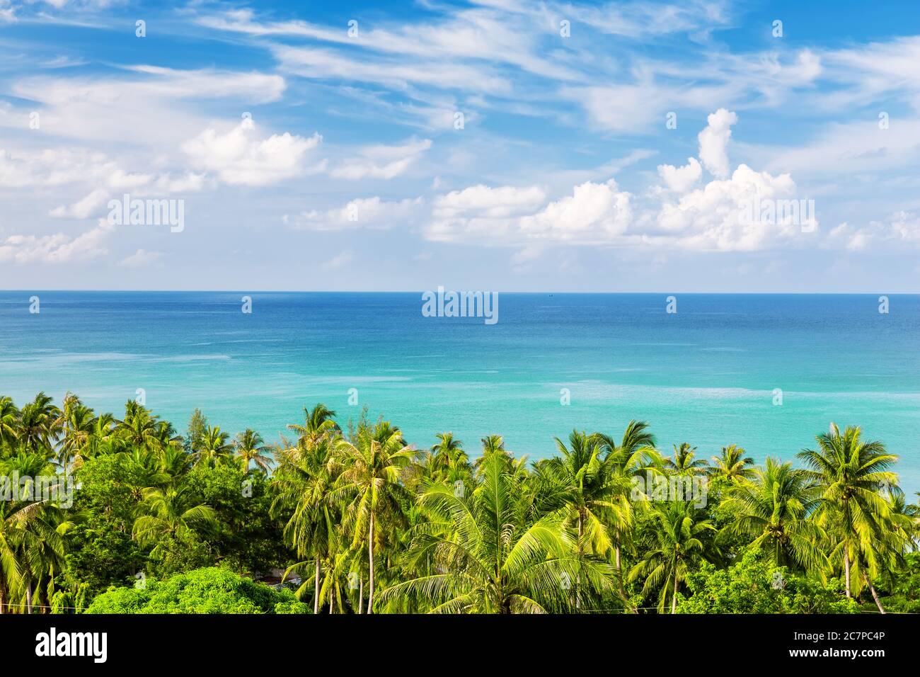 Noix de coco palmiers contre la mer bleue et le ciel à Koh Samui. Thaïlande Banque D'Images