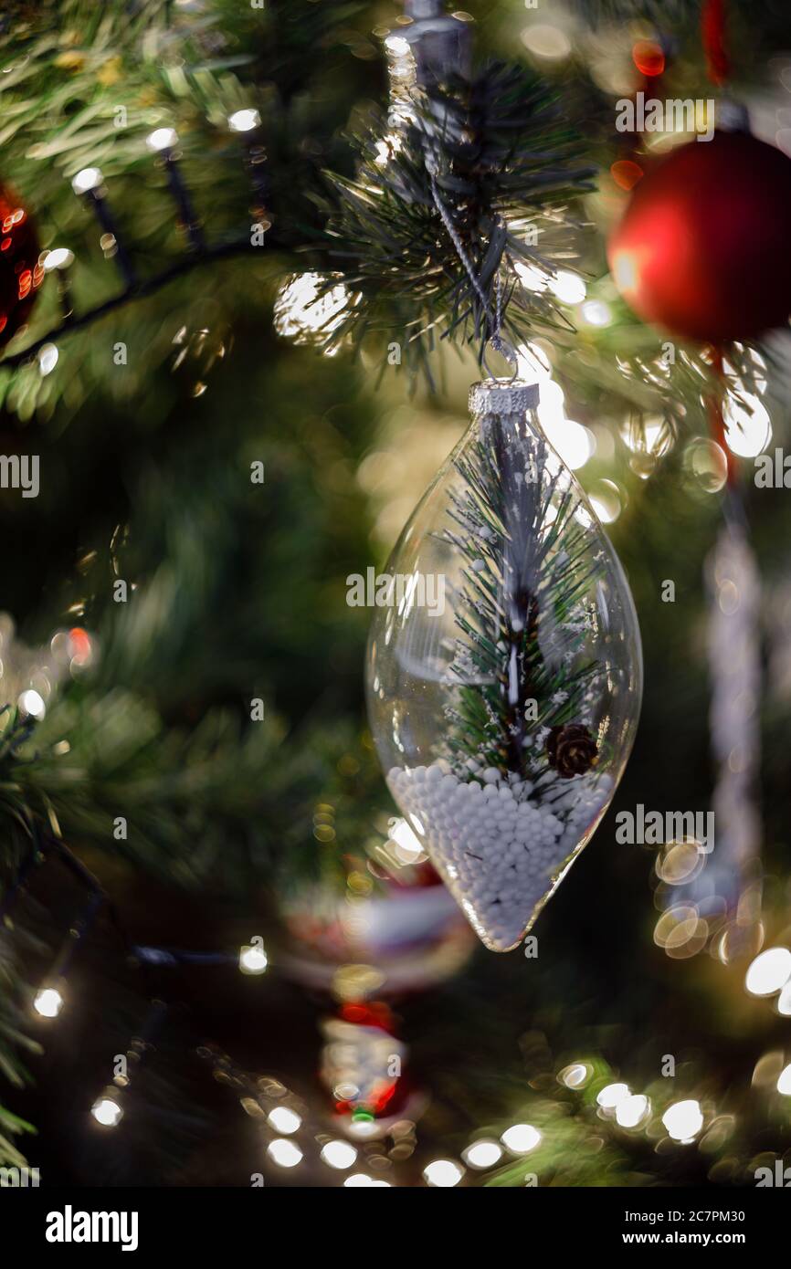Décoration de Noël remplie d'un arbre et de neige et en arrière-plan un espace nain provenant des lumières de christmass Banque D'Images