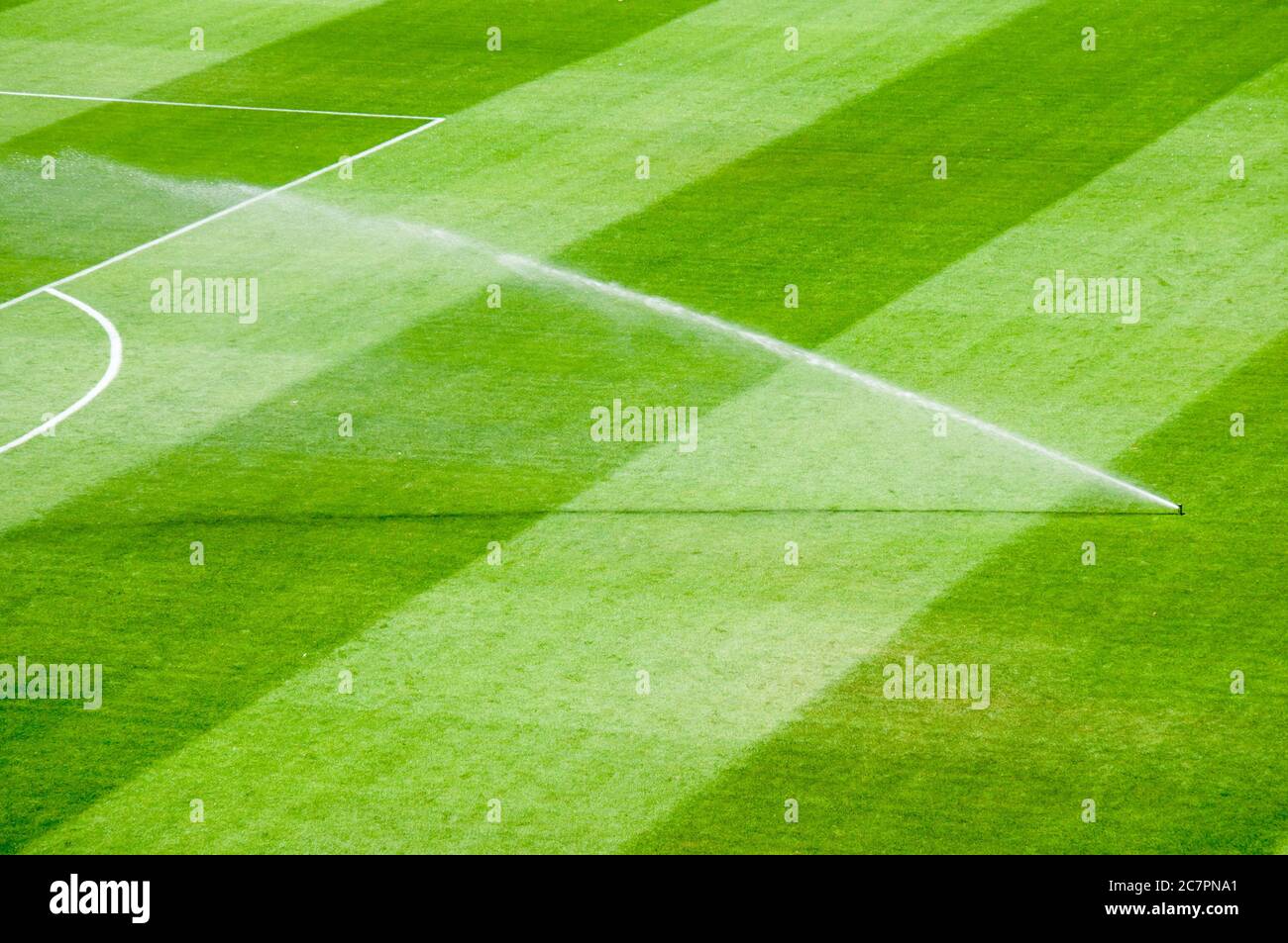 Gazon d'irrigation travaillant sur l'herbe verte fraîche sur le terrain de football Banque D'Images