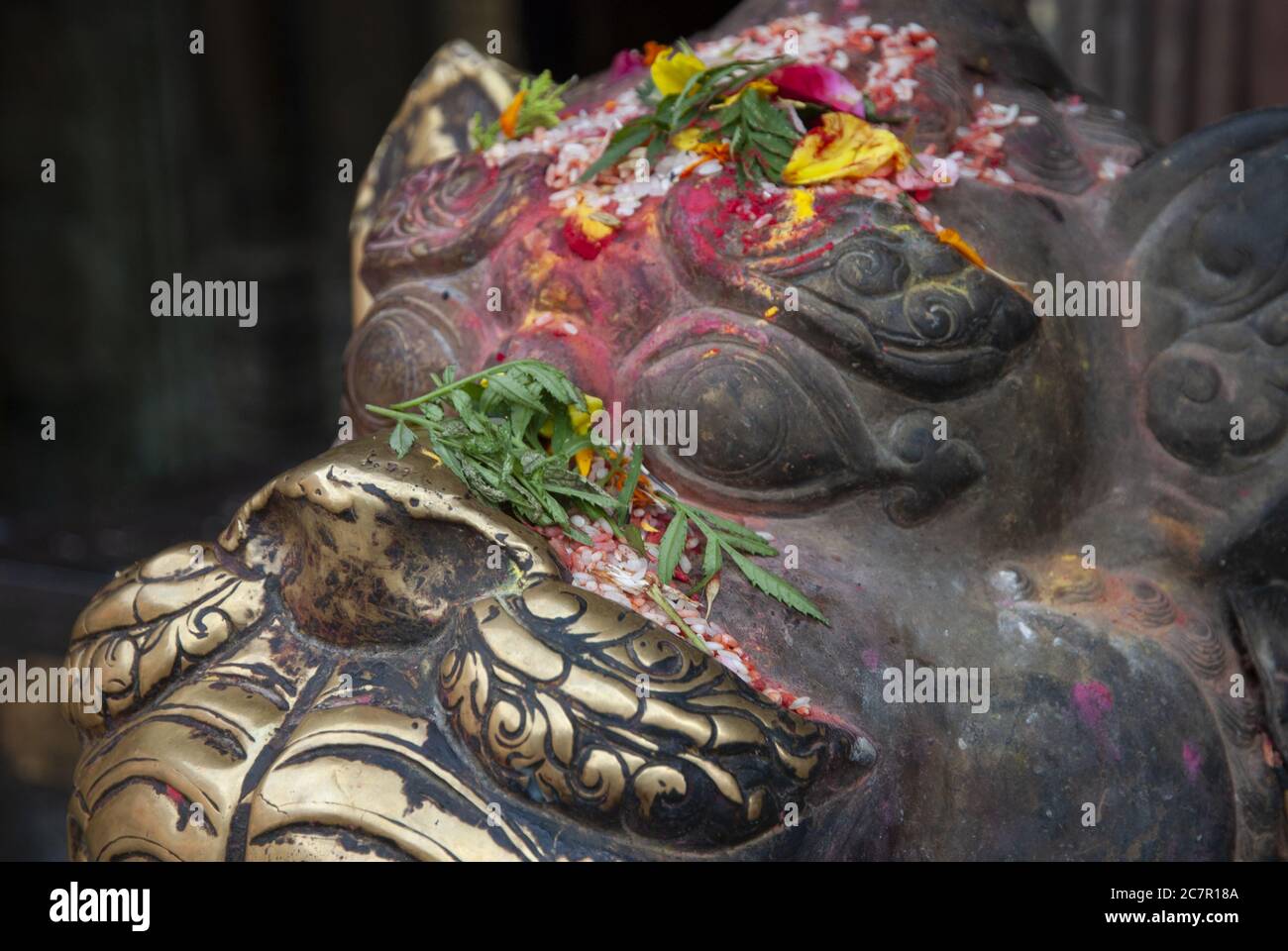 Gros plan d'une statue de lion avec dons au temple Bagh Bhairab à Kirtipur dans la vallée de Katmandou, Népal. Banque D'Images