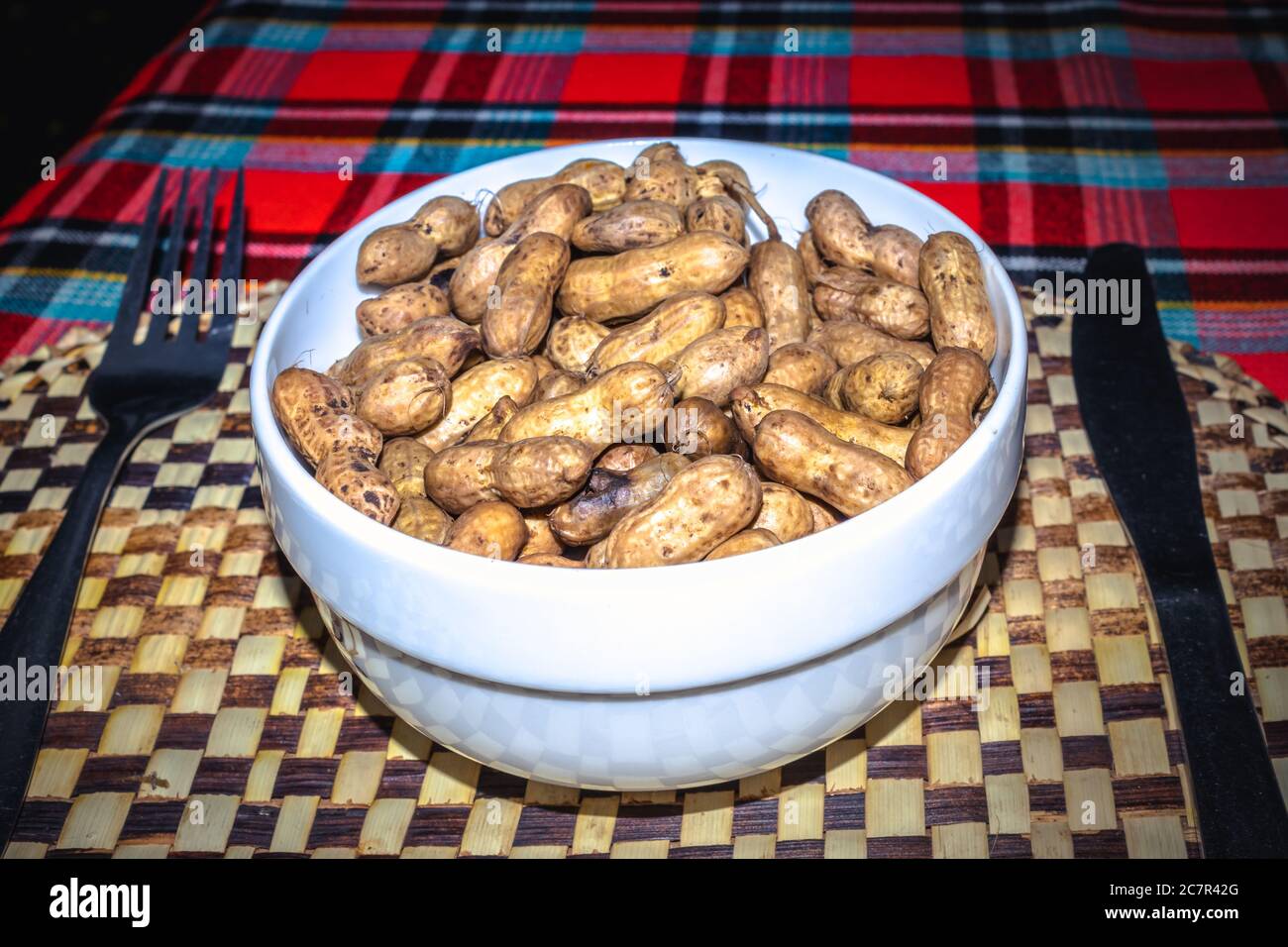 Arachides poussant sur la plante (Arachis hypogaea) en cours de récolte, nettoyé, bouilli et prêt à manger, Ouganda, Afrique Banque D'Images