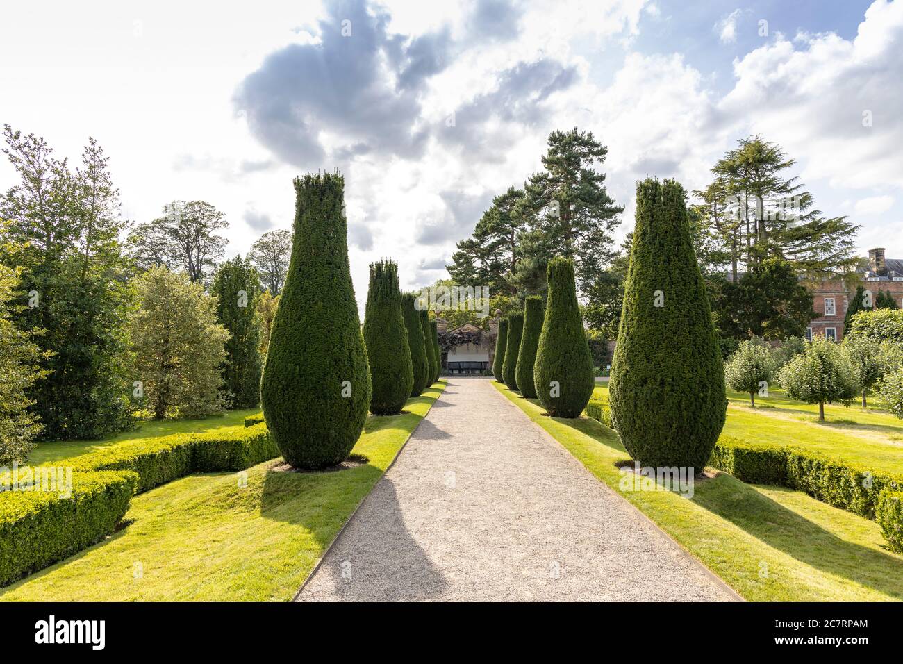 Arbustes topiaires en forme de bouteille le long de l'allée. Banque D'Images