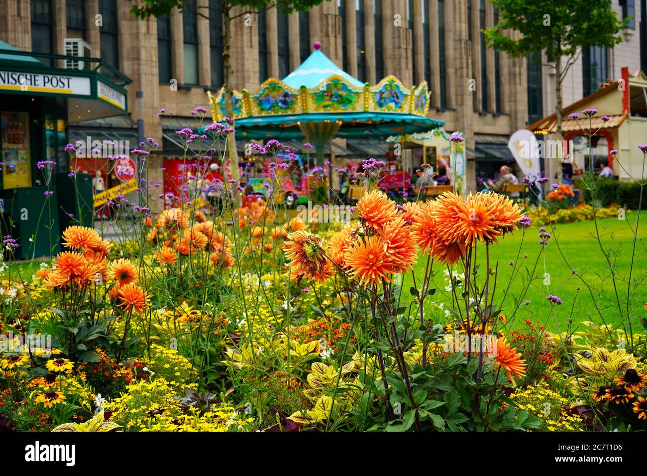 Admirez les fleurs d'été orange colorées : Corneliusplatz, au centre-ville de Düsseldorf, avec un kiosque à journaux et un carrousel nostalgique dans un arrière-plan flou. Banque D'Images