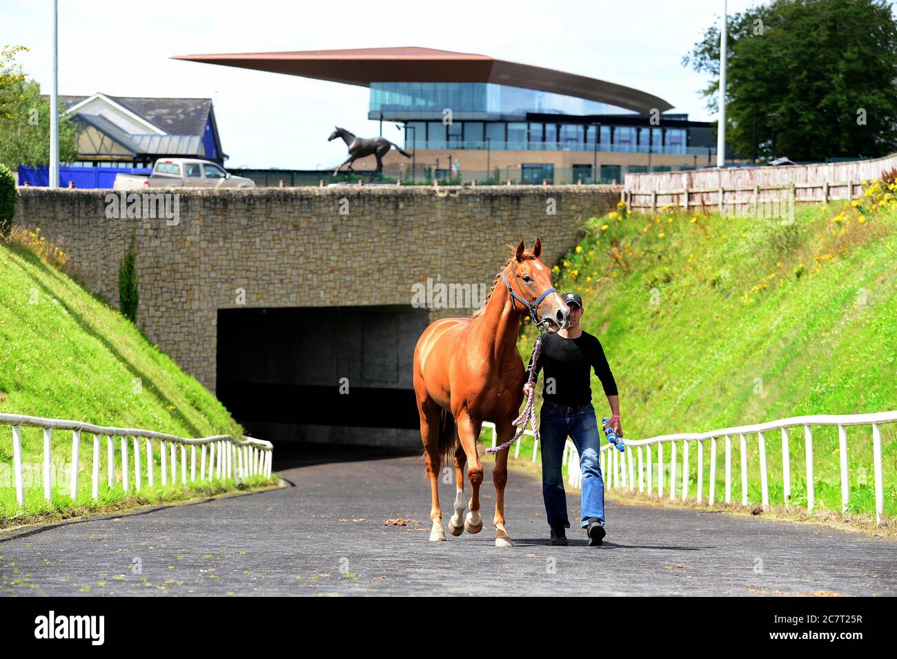 Un cheval et un marié traversent le tunnel du cheval pour retourner à la cour stable de l'hippodrome de Curragh. Banque D'Images