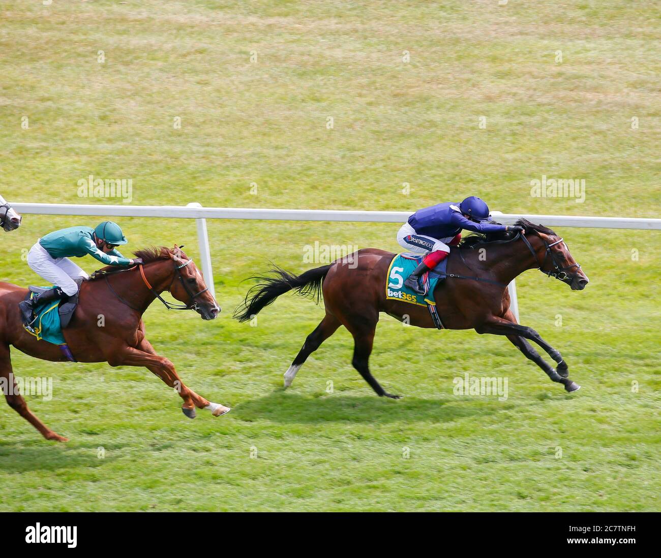 Global Giant, monté par Frankie Dettori (à droite), remporte les mises Steventon bet365 à l'hippodrome de Newbury. Banque D'Images