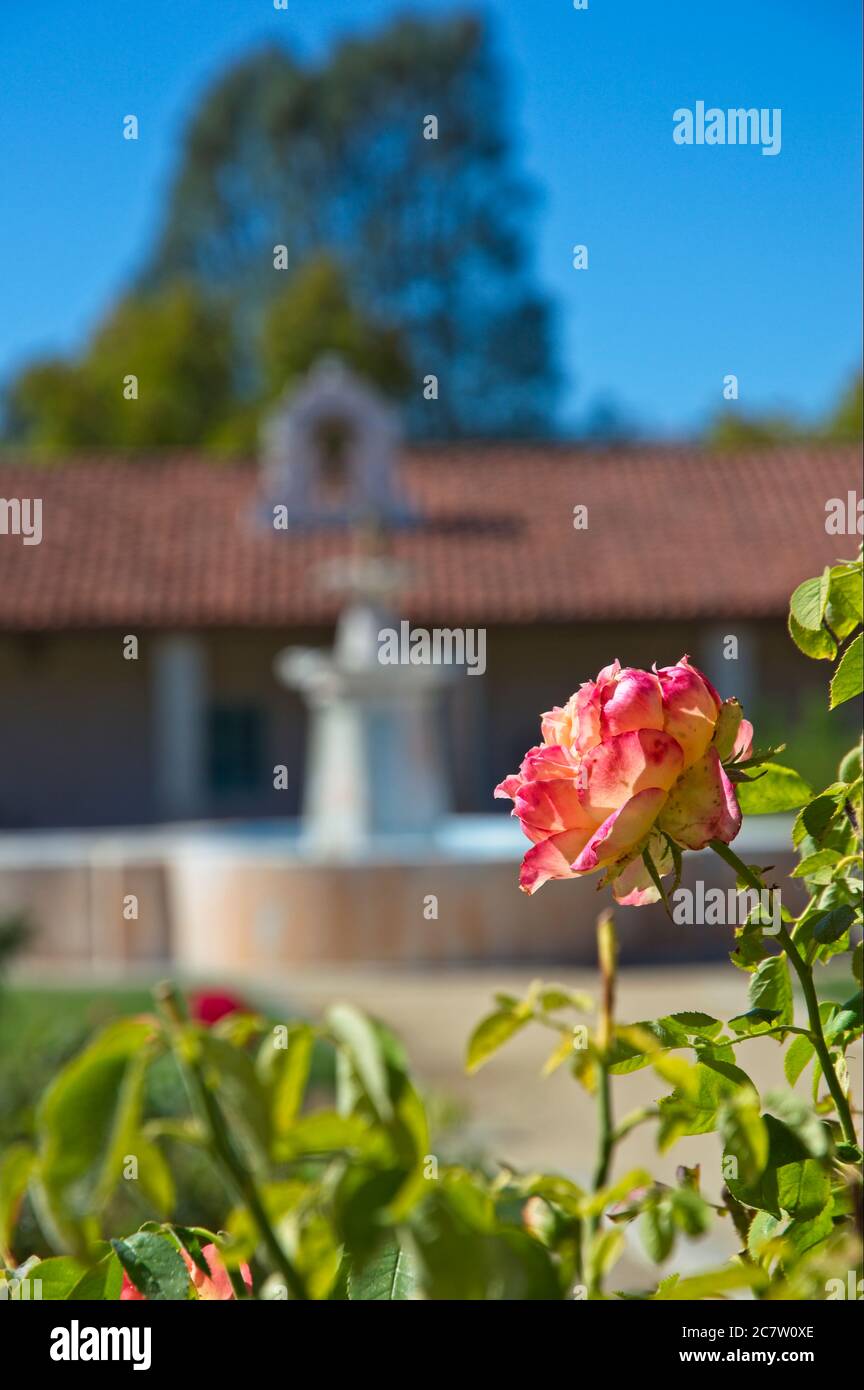 Mission San Antonio de Padua est une mission catholique espagnole au sud de King City Californie avec de beaux jardins et une architecture fondée en 1771. Banque D'Images