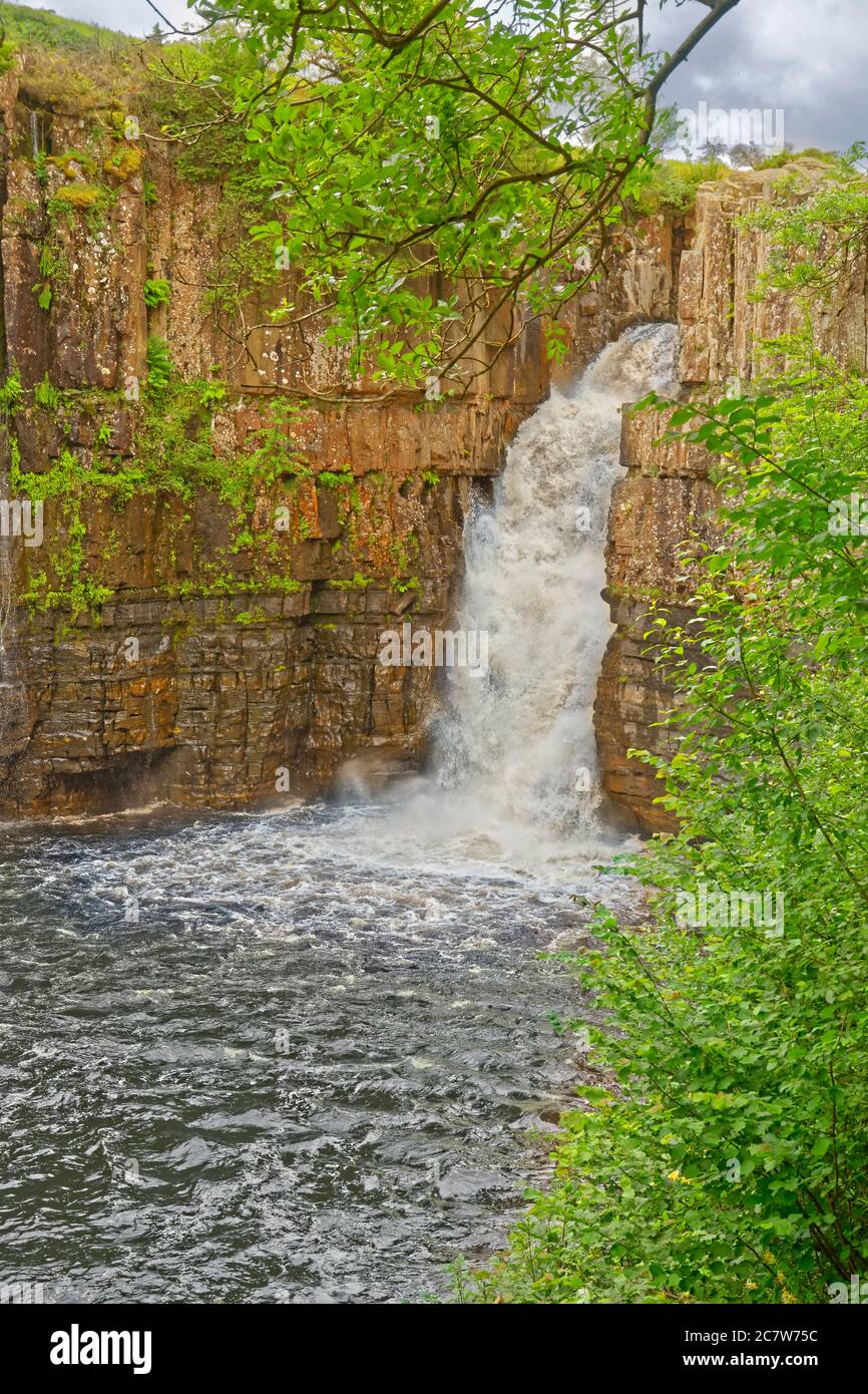 High Force, Middleton-in-Teesdale, Teesdale, Angleterre. Banque D'Images