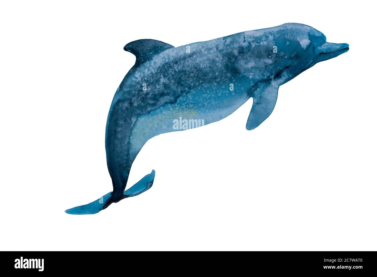 Aquarelle dauphin bleu profond avec taches texture salée. Illustration originale de la peinture à la main d'un animal marin, isolé sur fond blanc Banque D'Images