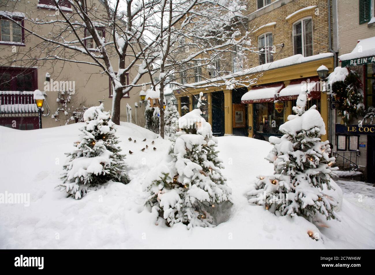 Rue de petit-Champlain, Québec, Québec, Canada Banque D'Images