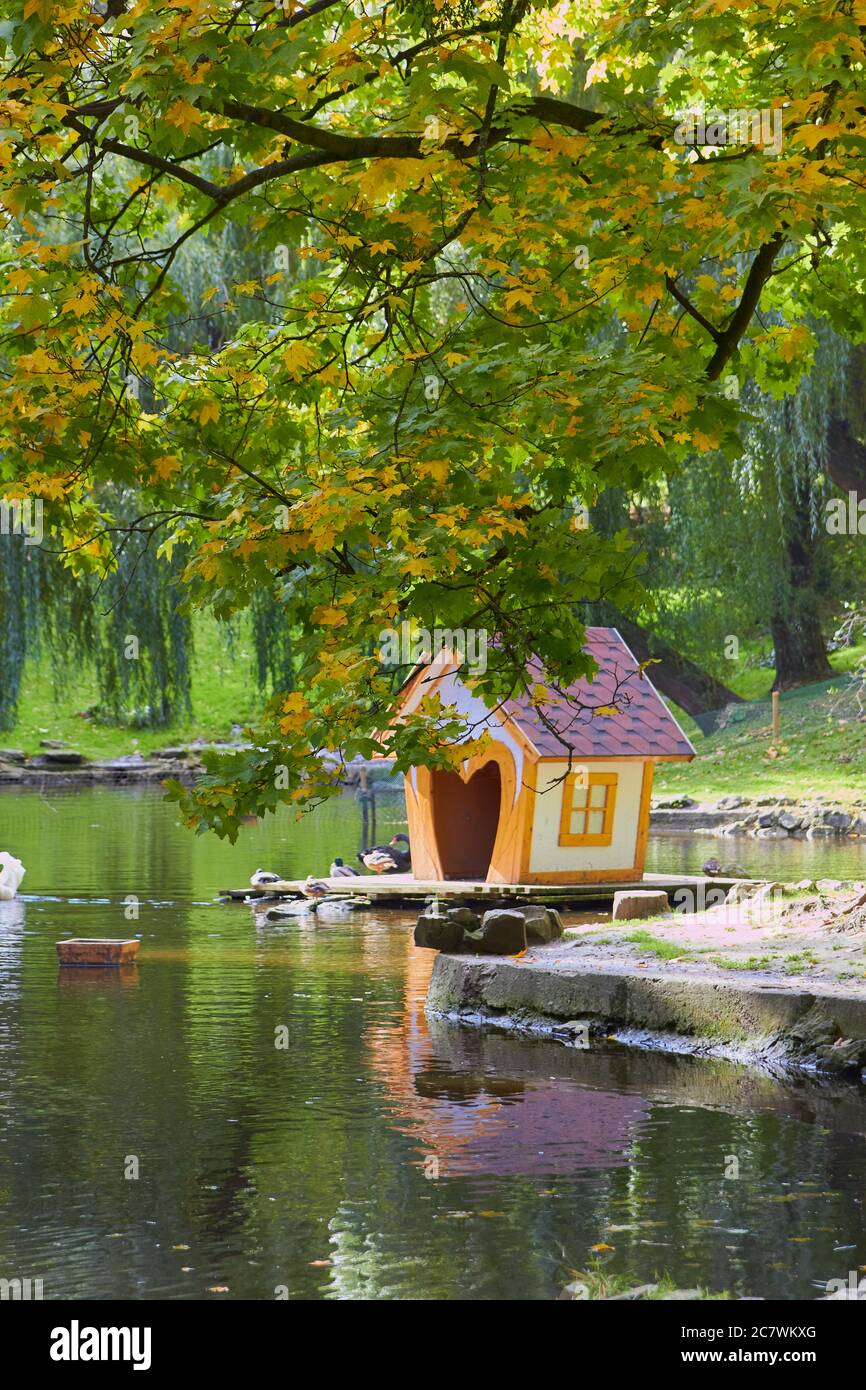 magnifique parc d'automne avec un lac et une maison sur l'eau Banque D'Images