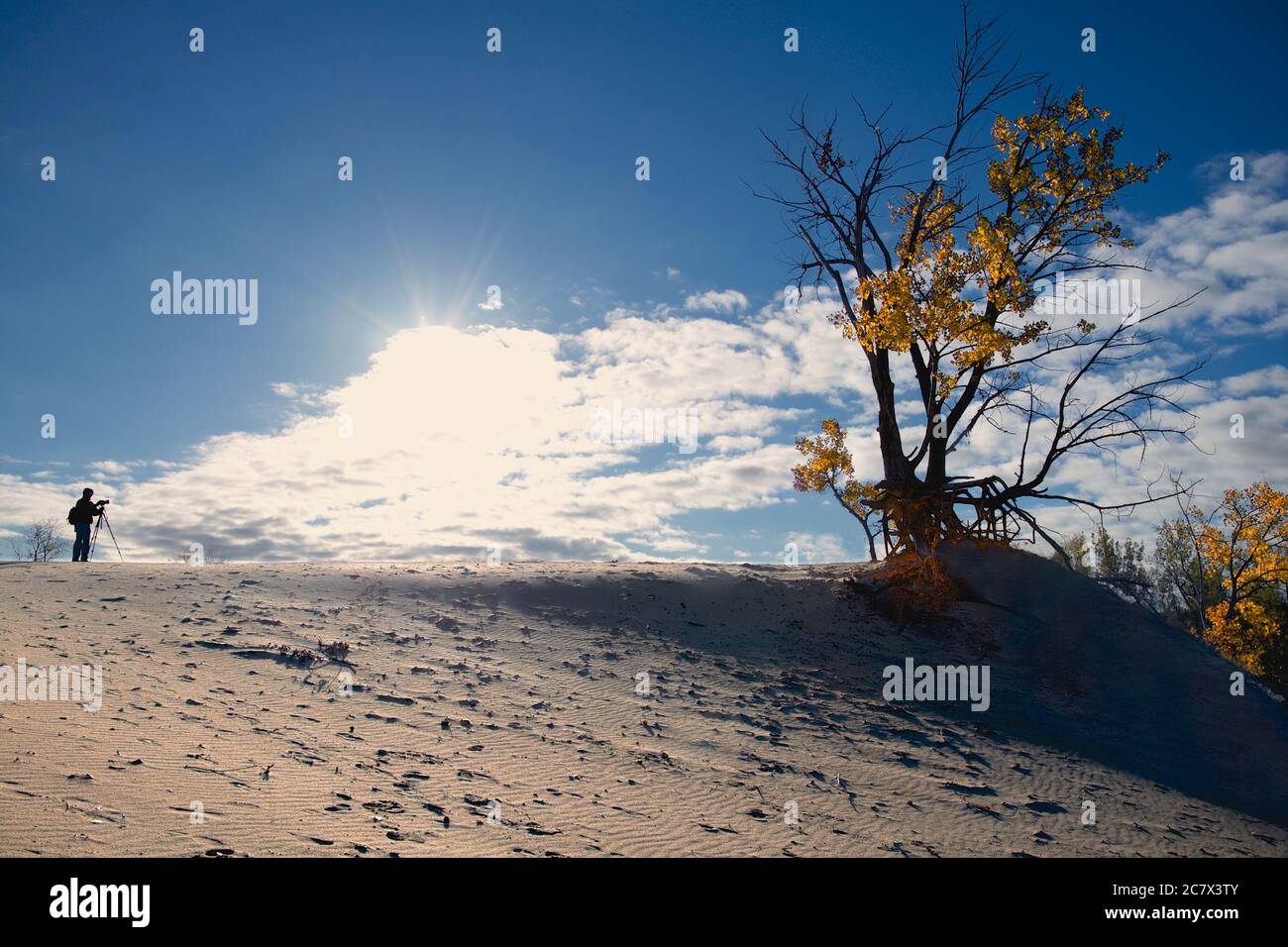 Silhouette du photographe dans la dune de sable avec ciel bleu et couleur feuille d'automne Banque D'Images