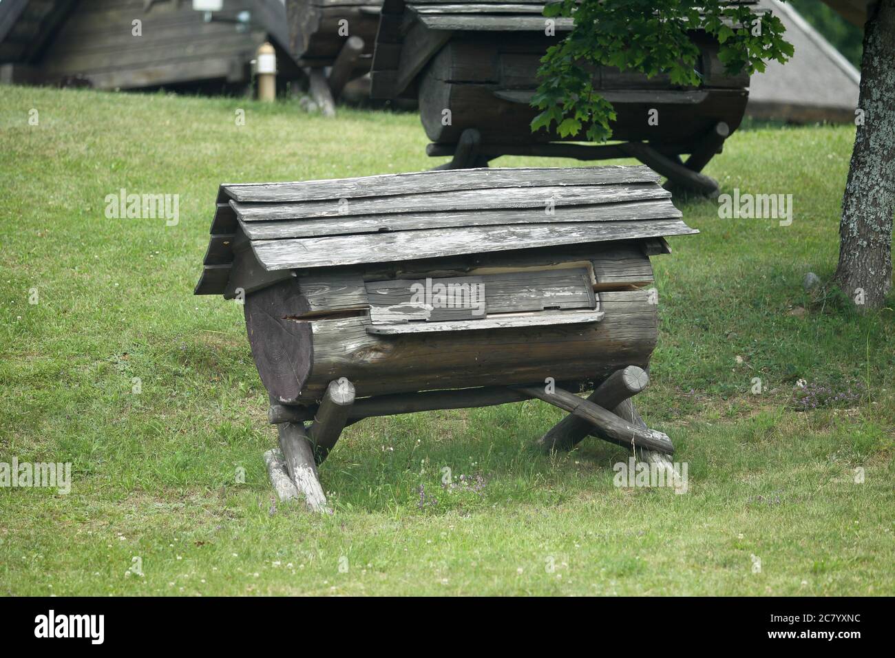 Musée lituanien de l'apiculture ancienne dans le village de Stripeikiai, parc national d'Aukstaitija Banque D'Images