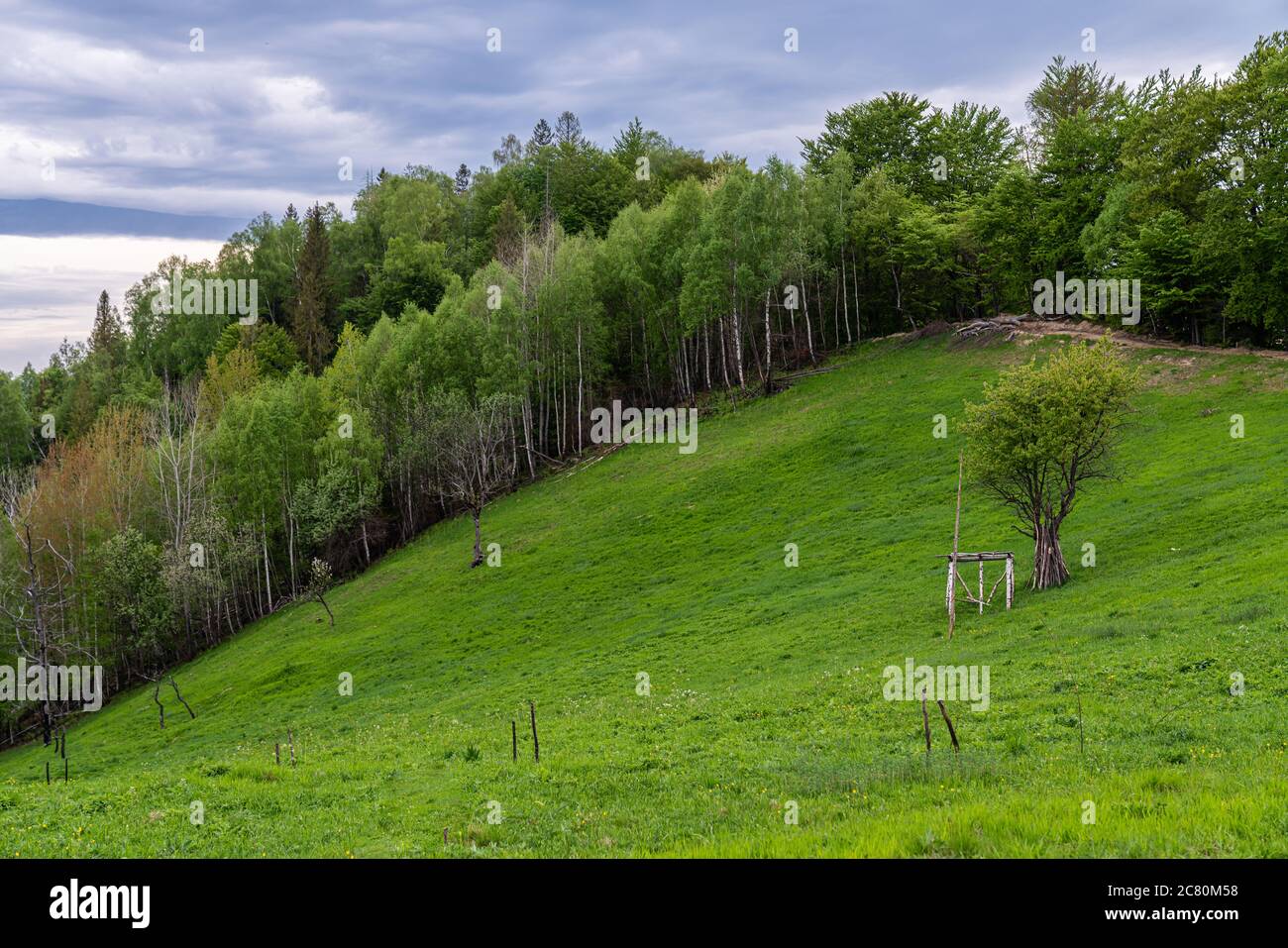 Campagne montagneuse à midi. Magnifique paysage rural avec arbres et champs sur les collines ondulantes au pied de la crête Banque D'Images