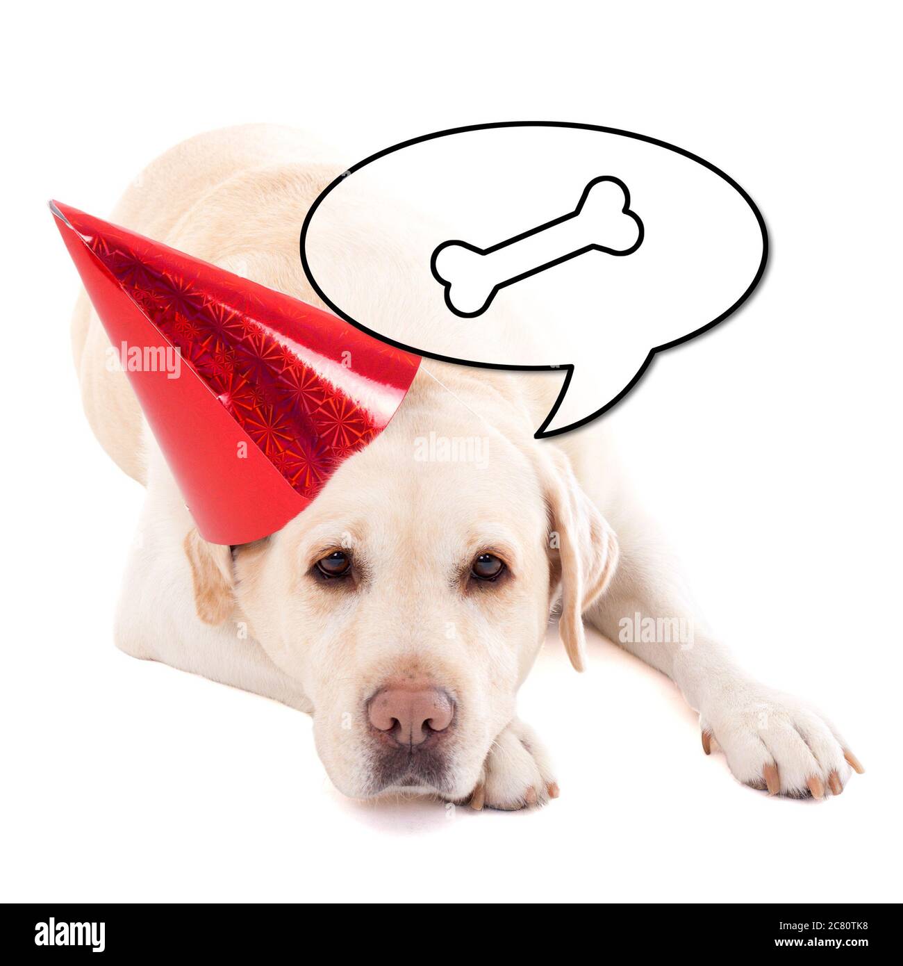 Chien Triste Golden Retriever Dans Un Chapeau D Anniversaire Pensant A La Nourriture Isolee Sur Fond Blanc Photo Stock Alamy