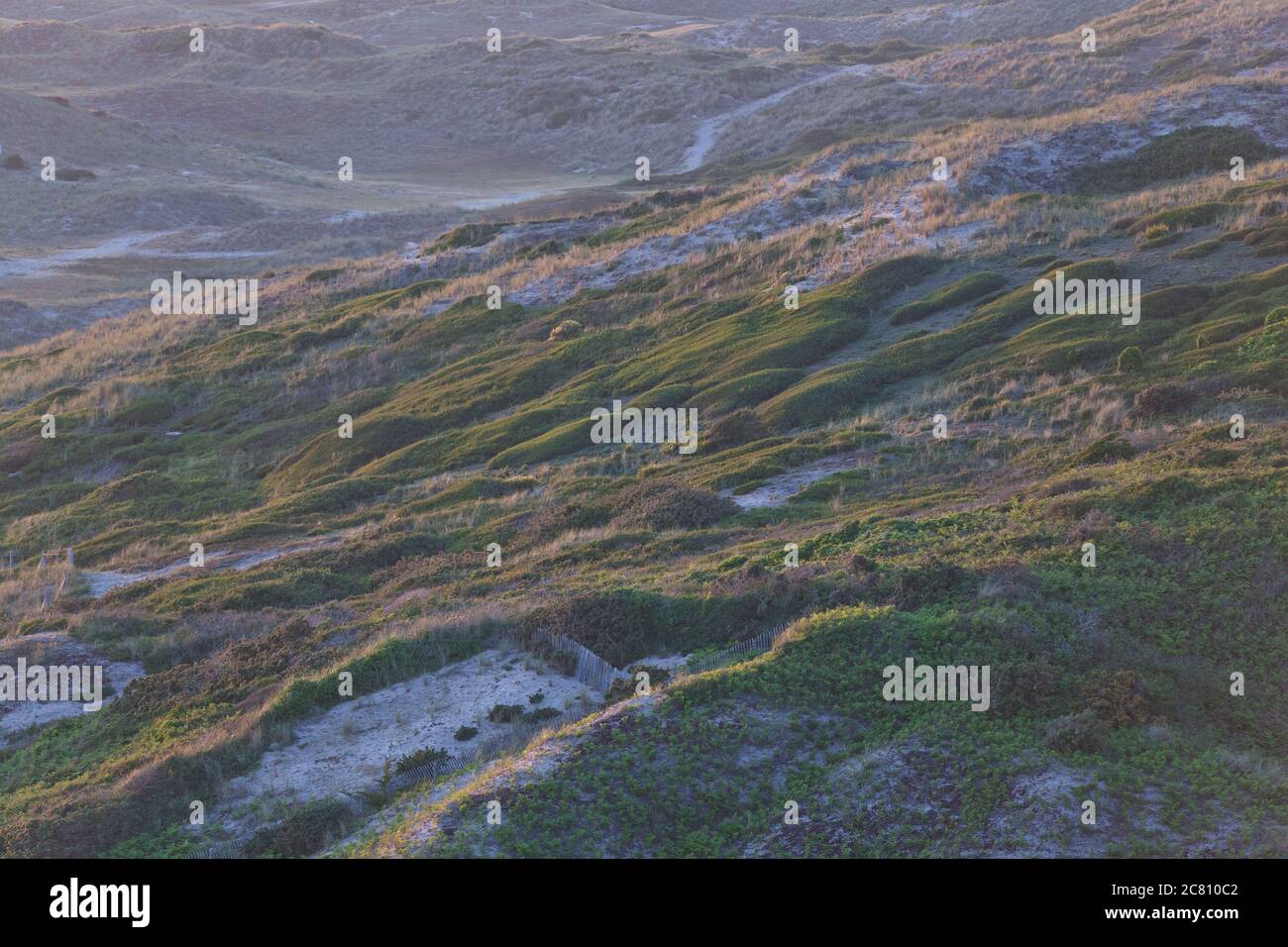 Paysage de dunes dans la lumière du soir à Hattainville sur la péninsule du Cotentin. Normandie Banque D'Images