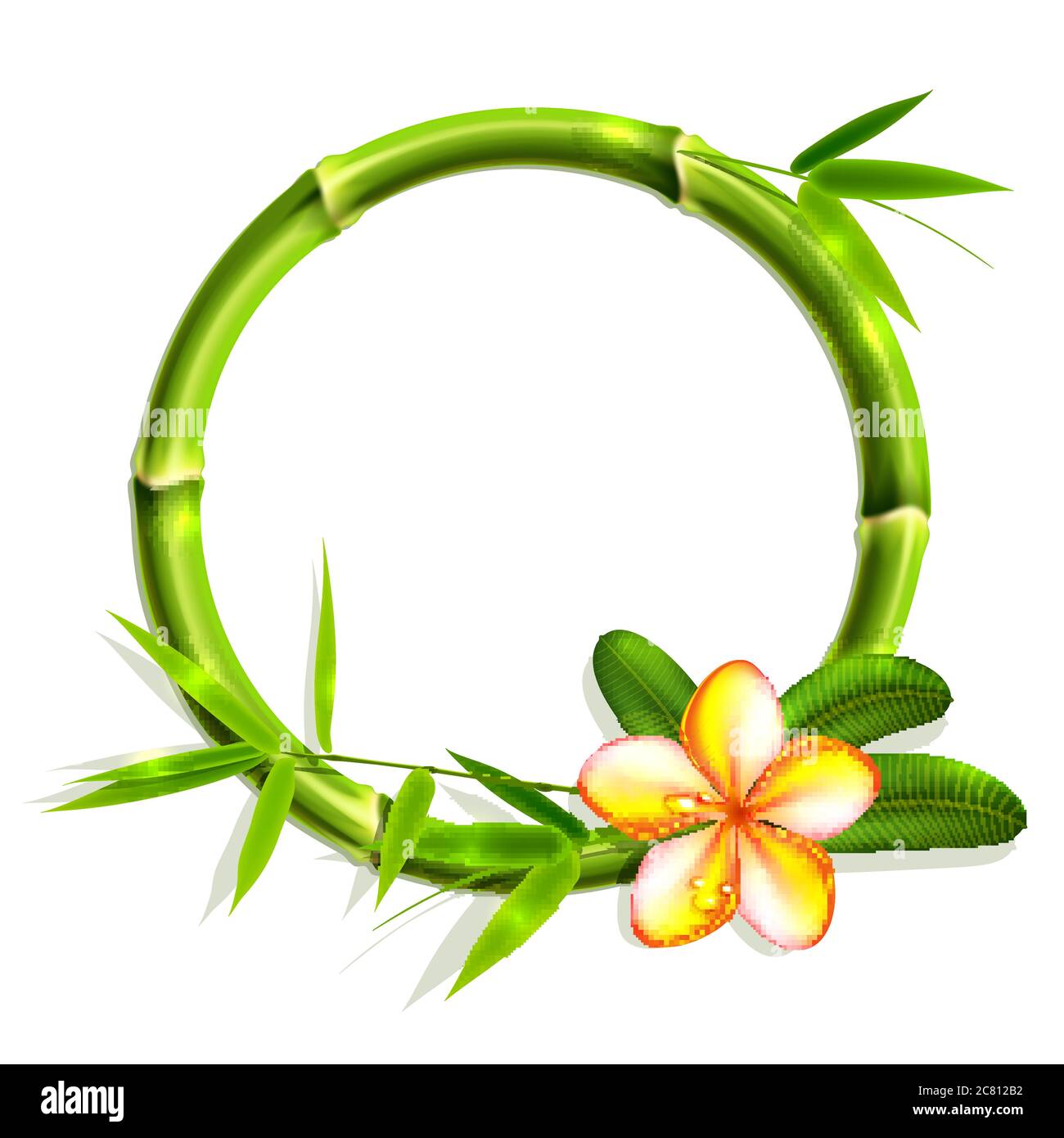 Cadre en bambou avec fleur. Illustration vectorielle. Illustration de Vecteur