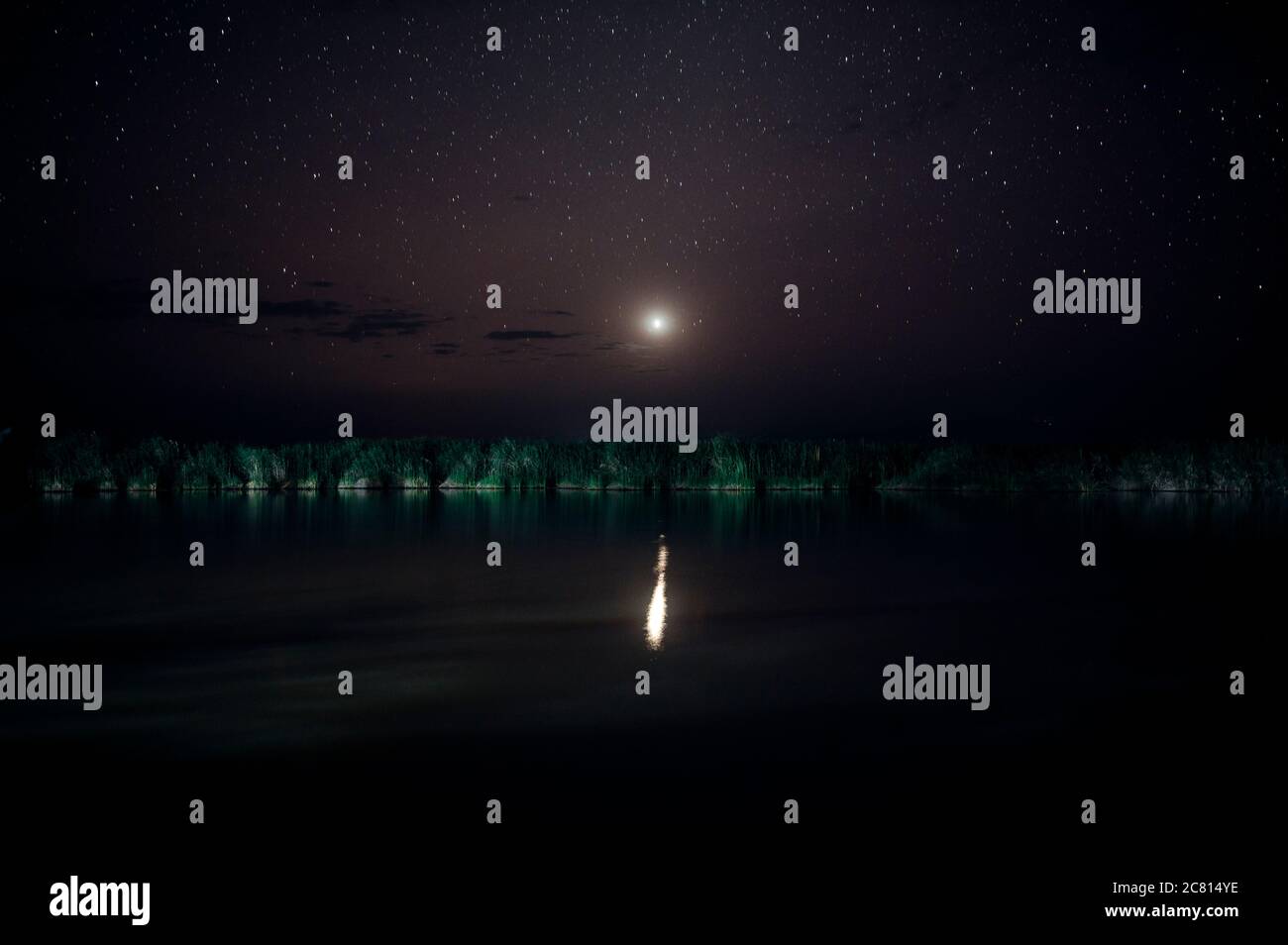 Un ciel nocturne plein d'étoiles et le reflet de la lune au-dessus de l'oasis de source chaude naturelle à Doho Safari Lodge dans la région Afar de l'Éthiopie. Banque D'Images