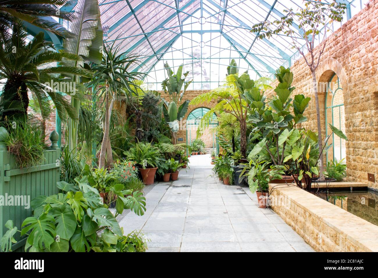 Château Cary, Somerset. Juin 2020: Grande serre de verre botanique tropicale remplie de plantes intérieures succulents dans le Somerset. Banque D'Images
