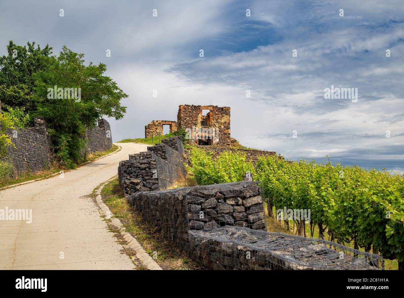 Vue sur la région viticole de Somlo, comté de Veszprem, Hongrie Banque D'Images