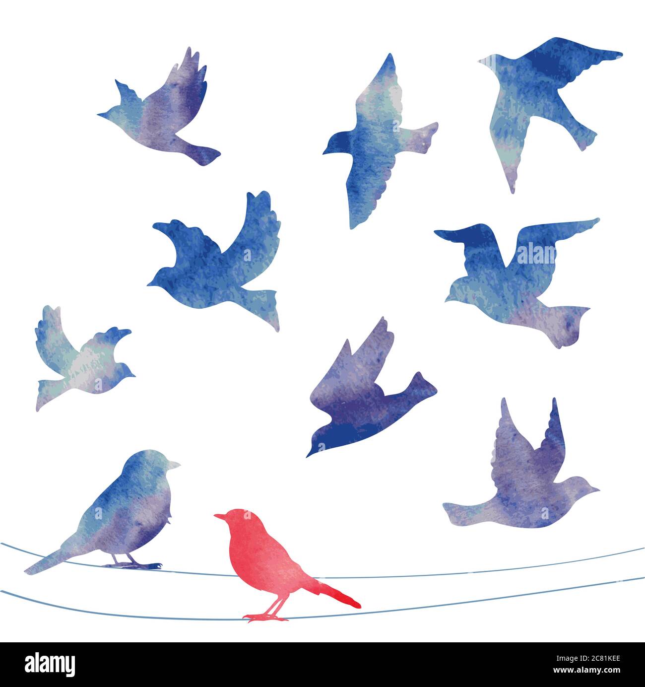 Ensemble de silhouettes d'oiseaux - vol, assis. Illustration de Vecteur