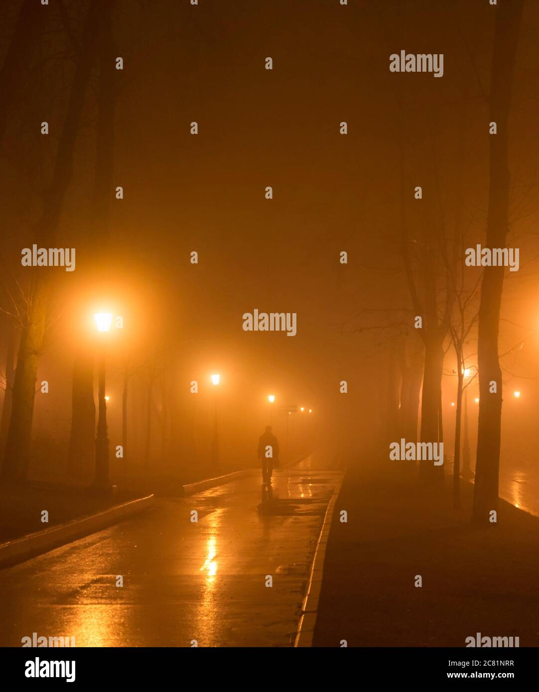 Un homme solitaire se promette dans une allée de parc brumeux le soir. Kiev, Ukraine Banque D'Images