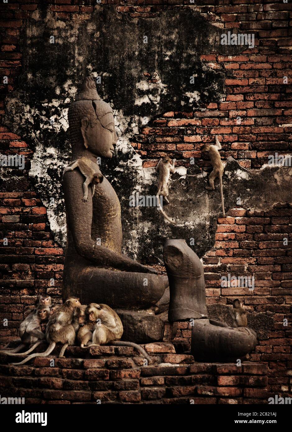 Singes grimpant sur une statue de bouddha dans le temple de Prang Sam Yod, Lophuri, Thaïlande, Asie du Sud-est Banque D'Images