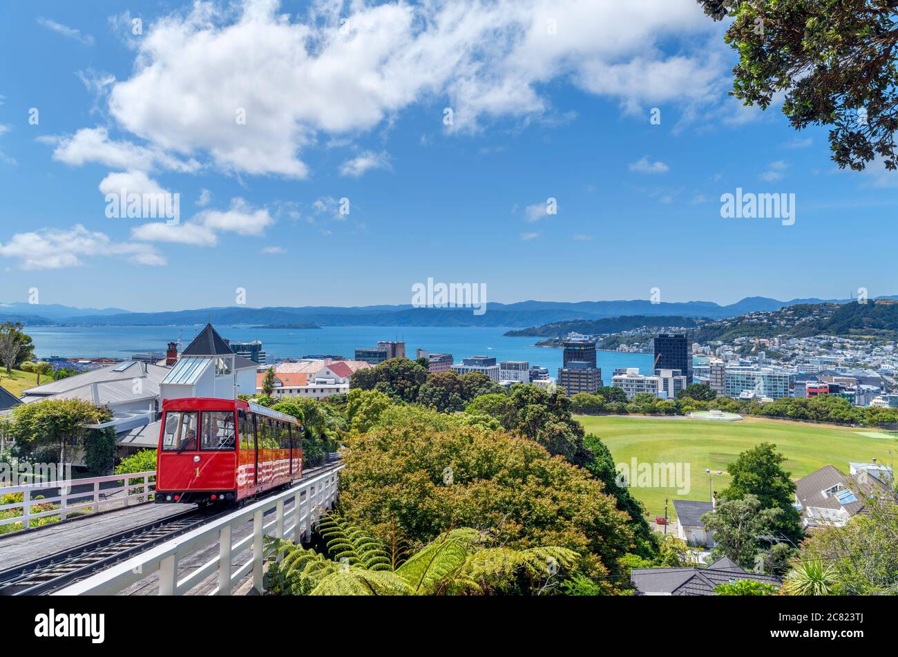 Vue sur la ville et le port de Lambton depuis le terminus de Kelburn, Wellington Cable car, Nouvelle-Zélande Banque D'Images