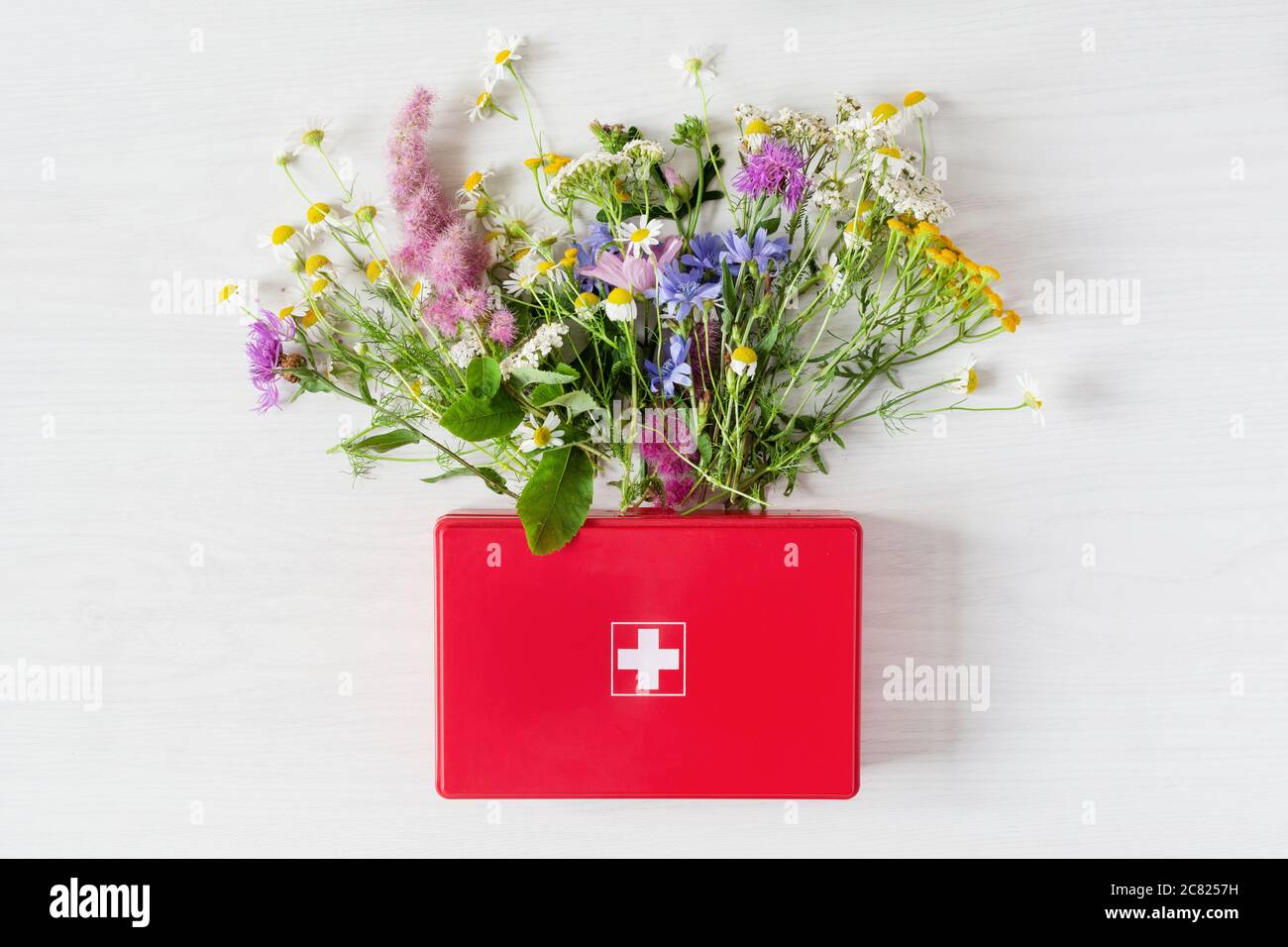 Herbes fraîches dans le kit de premiers soins rouge vue du dessus sur fond gris. Concept de médecine alternative. Thérapie holistique. Banque D'Images