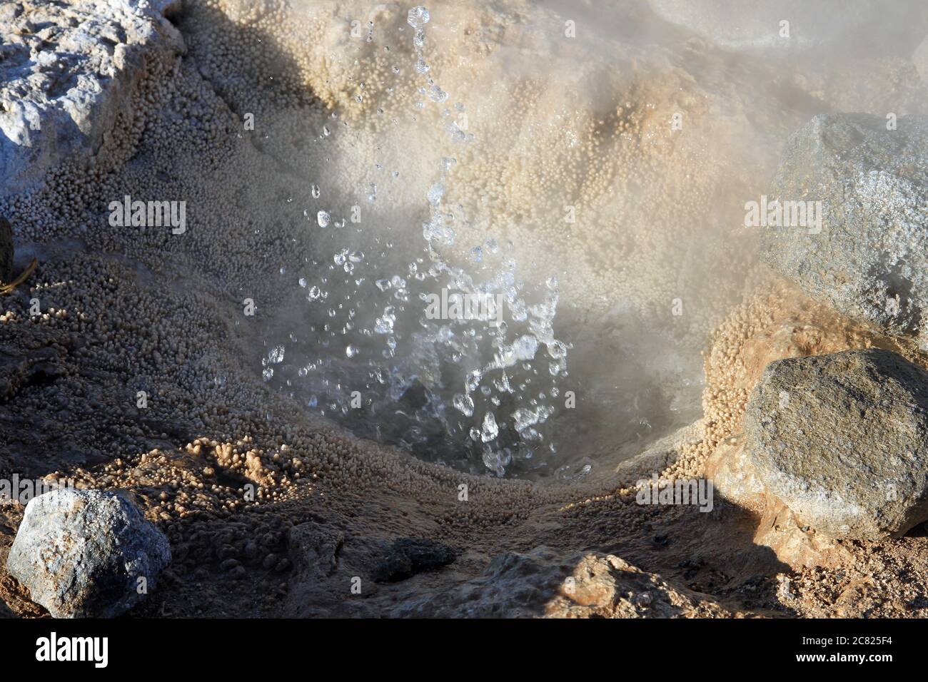 Paysages de champ de geyser El Tatio, Atacama, Chili Banque D'Images