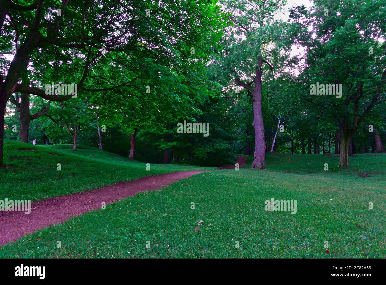 Une allée dans les bois verts en été, jour ensoleillé à la montagne, Mont-Royal, Montréal, Canada Banque D'Images