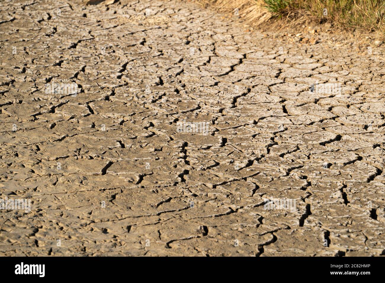 Boue craquée sur le site d'un lit de rivière séché, un affluent de la rivière Cuckmere, Sussex, Royaume-Uni Banque D'Images
