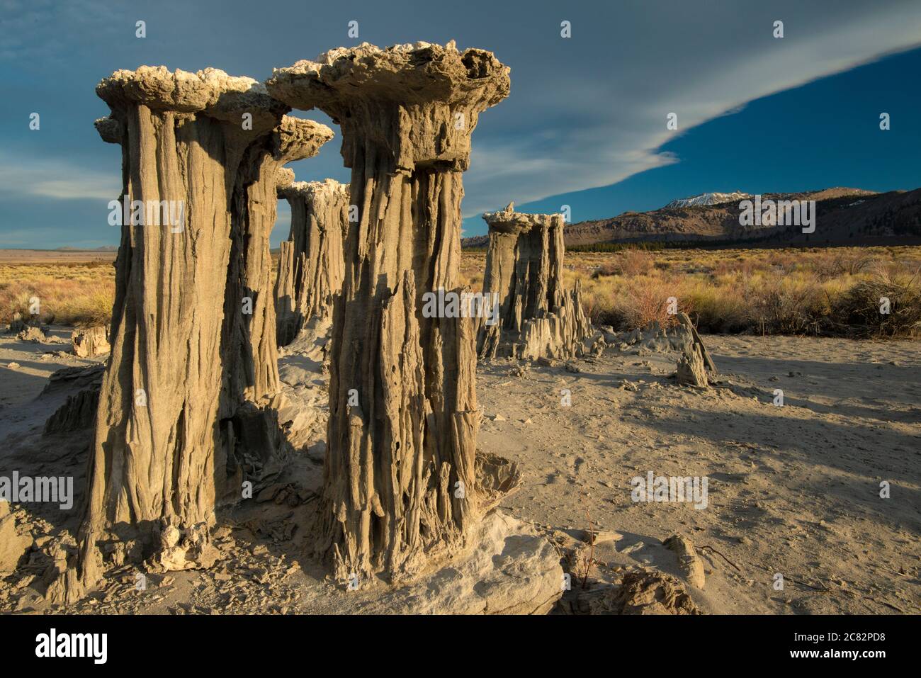 Tufas de sable, lac Mono, Sierra orientale, Californie, États-Unis Banque D'Images