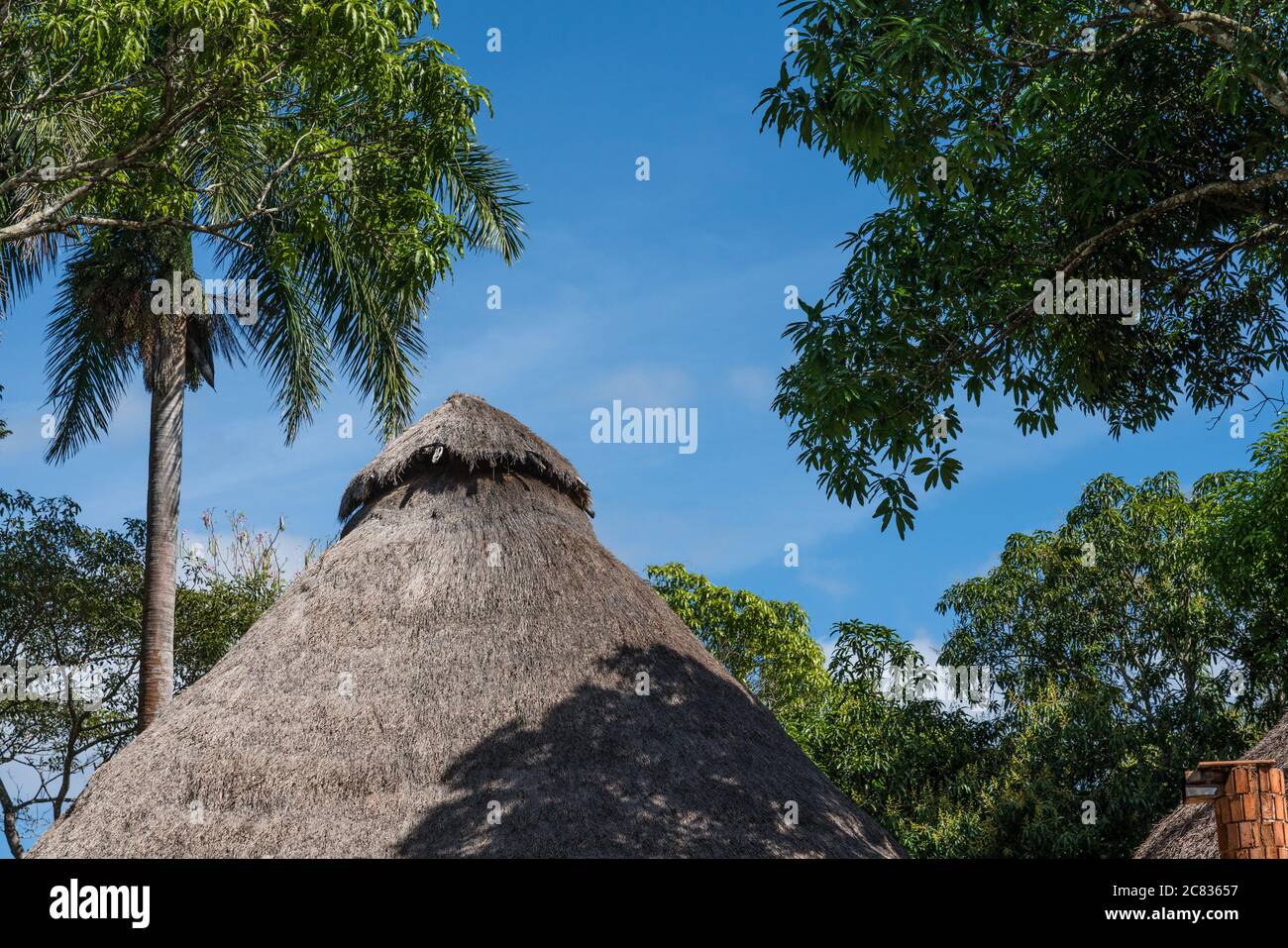 Le toit traditionnel de palmeraie a de palapa à l'hôtel Mayaland à Chichen Itza, Yucatan, Mexique. Banque D'Images