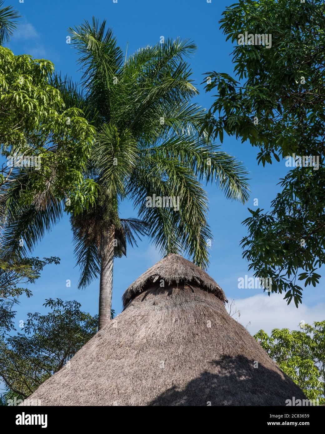 Le toit traditionnel de palmeraie a de palapa à l'hôtel Mayaland à Chichen Itza, Yucatan, Mexique. Banque D'Images