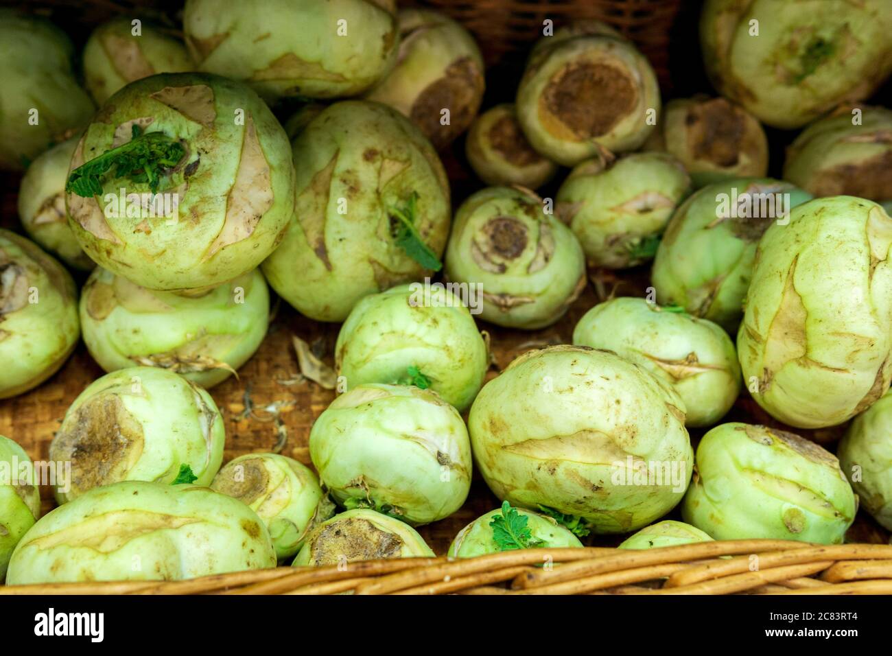 racine de céleri exposée sur un marché agricole local. vente de légumes sains et de produits alimentaires. attention sélective Banque D'Images