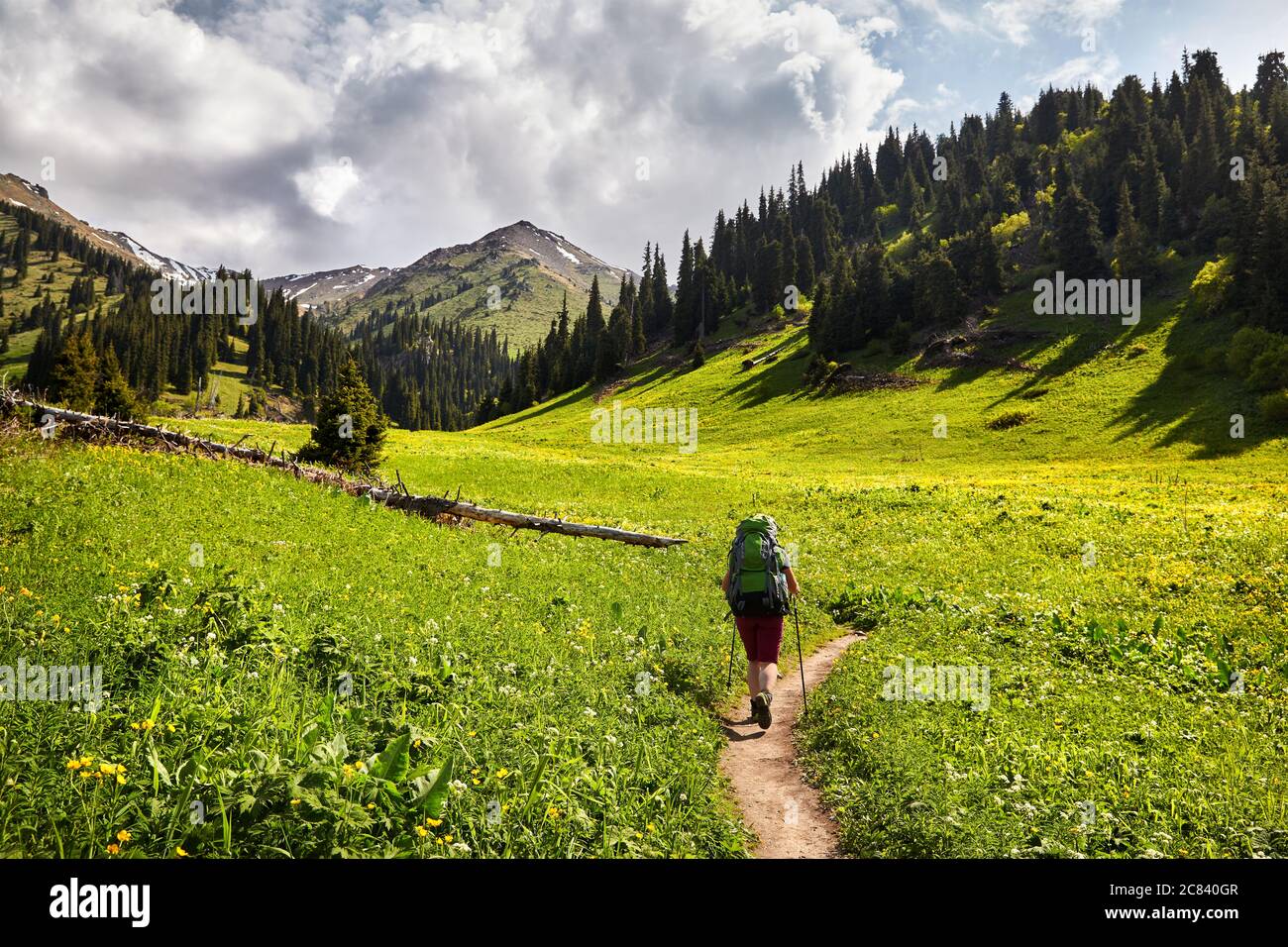 Femme touriste avec sac à dos est de marcher dans la vallée de montagne verte avec des sommets enneigés et ciel nuageux fond Banque D'Images