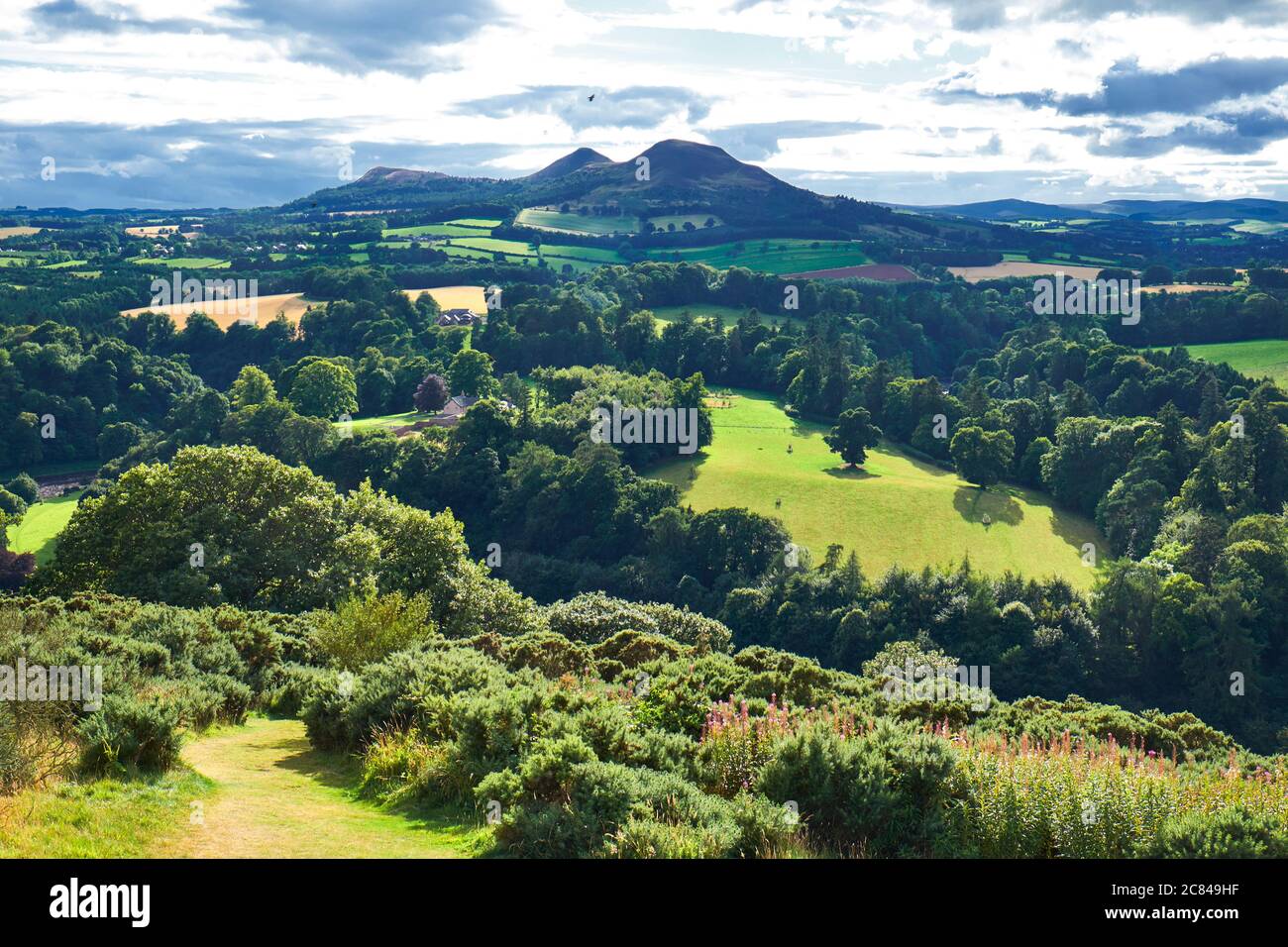 vue panoramique connue sous le nom de « scott's View » à Bemersyde Hill, aux frontières écossaises Banque D'Images