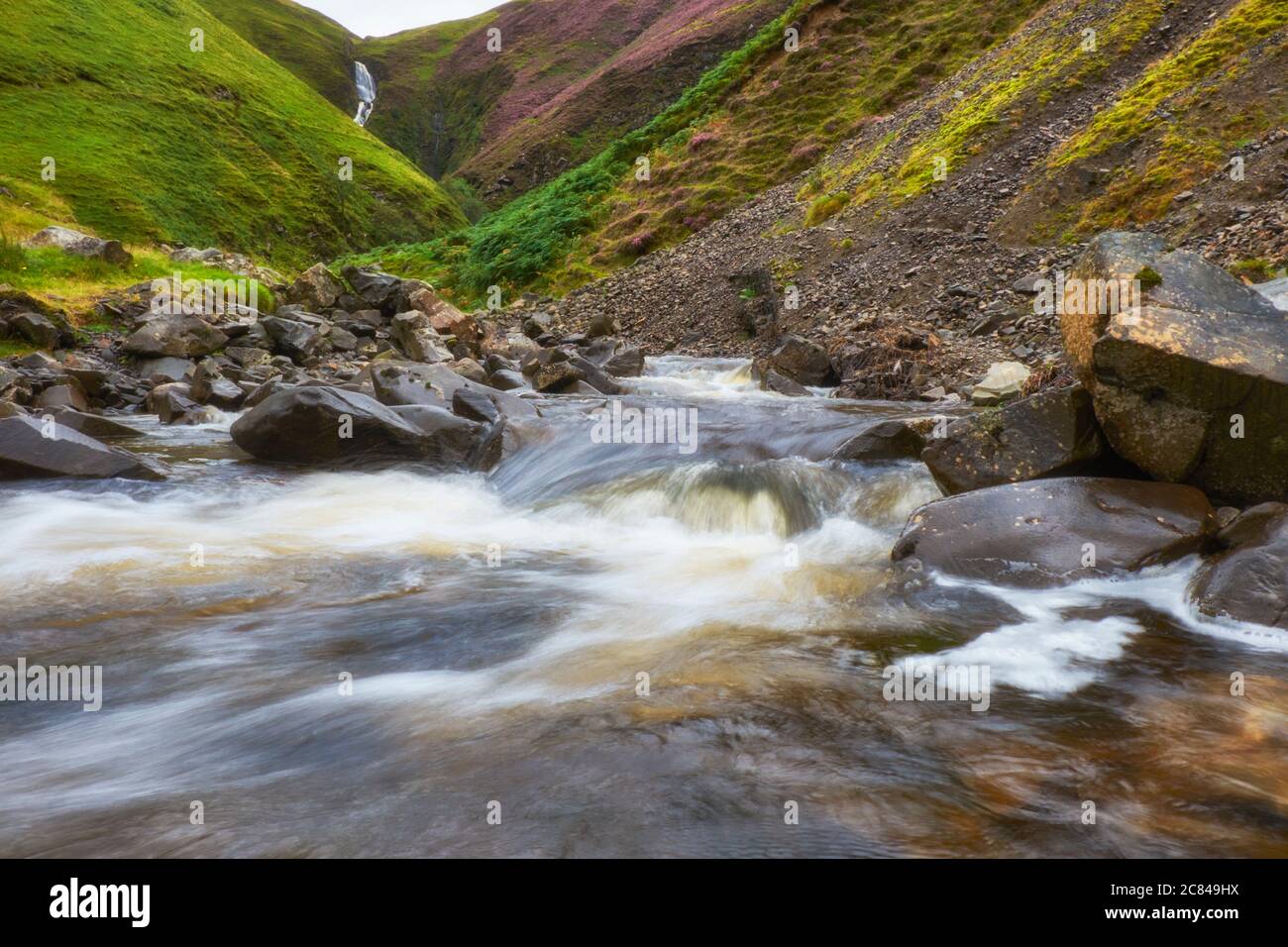 Chute d'eau de la queue de Grey Mare et réserve naturelle près de Moffat in La région frontalière écossaise Banque D'Images