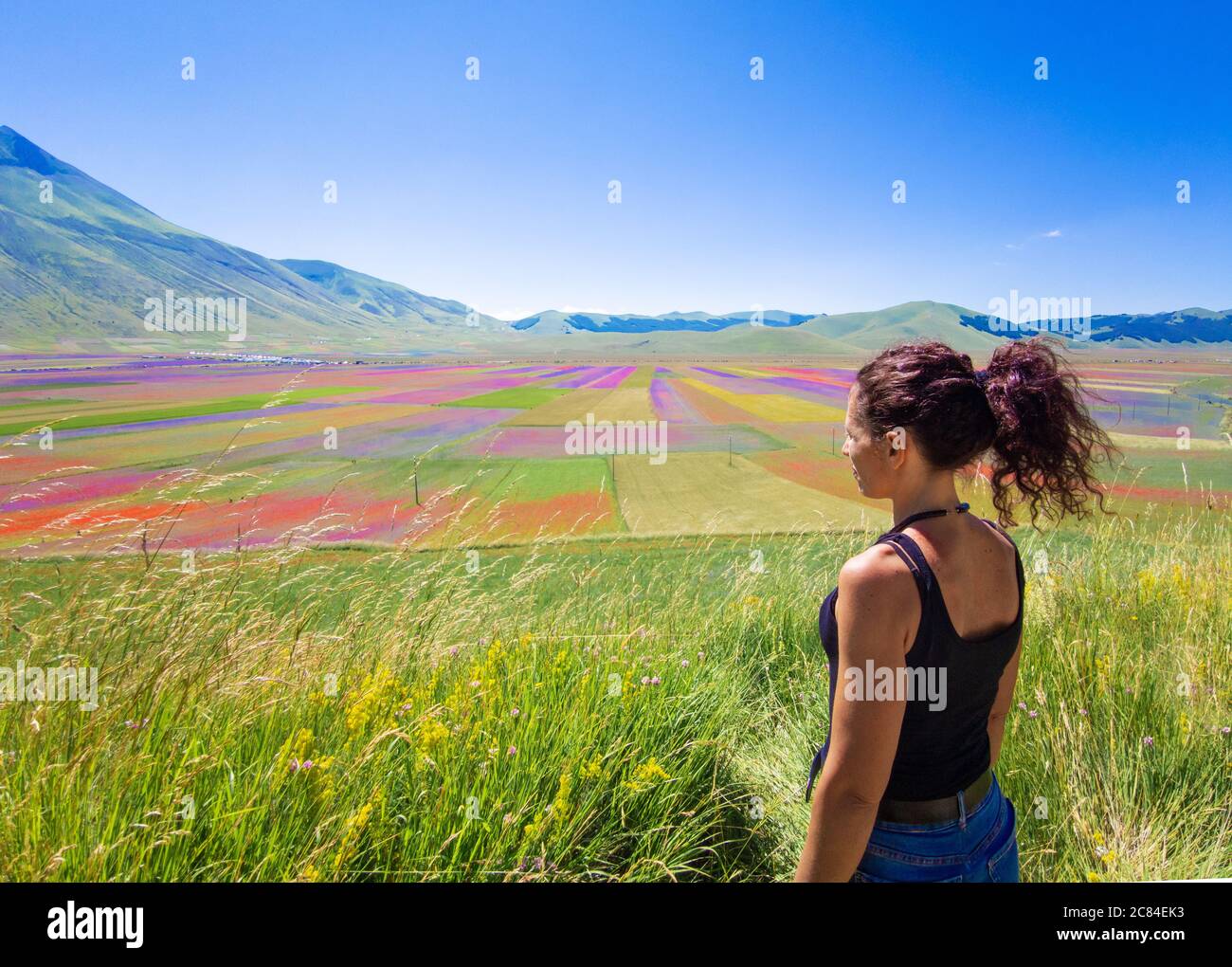 Castelluccio di Norcia, 2020 (Ombrie, Italie) - le célèbre paysage fleuri avec de nombreuses couleurs, dans les montagnes de Sibillini, au centre de l'Italie. Banque D'Images